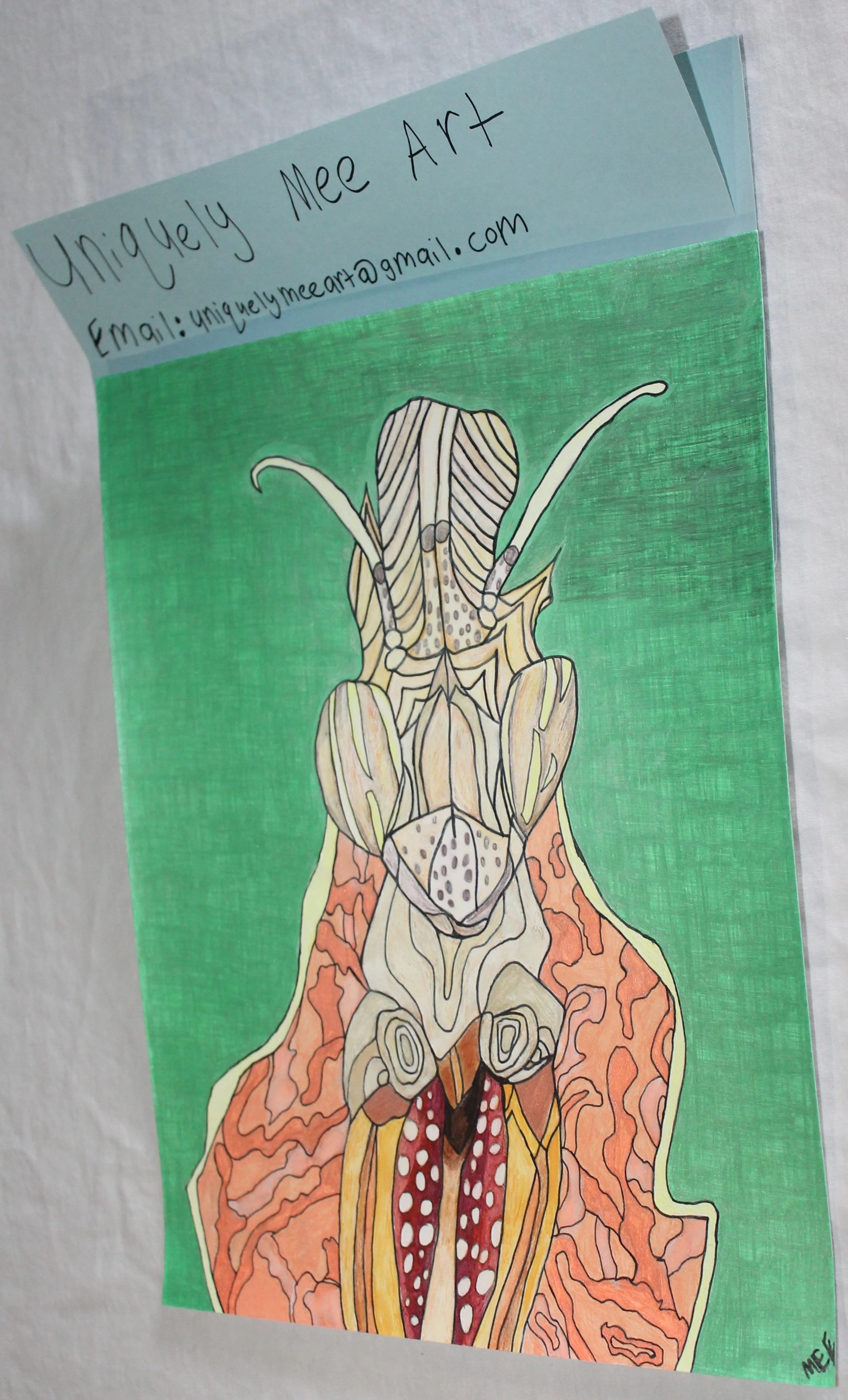 praying mantus resized .jpg