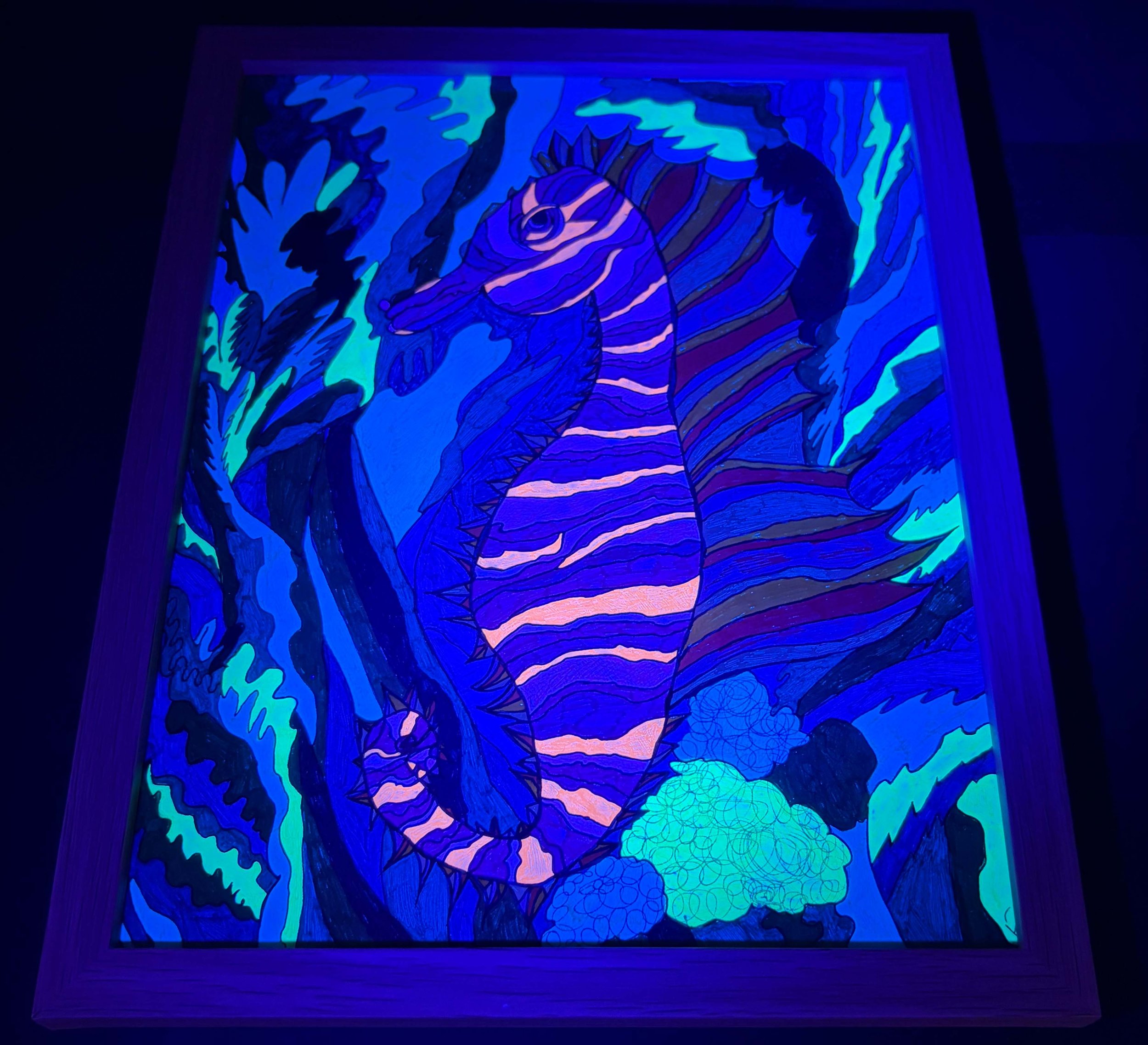 Warm Stripped Seahorse blacklight 2.jpg
