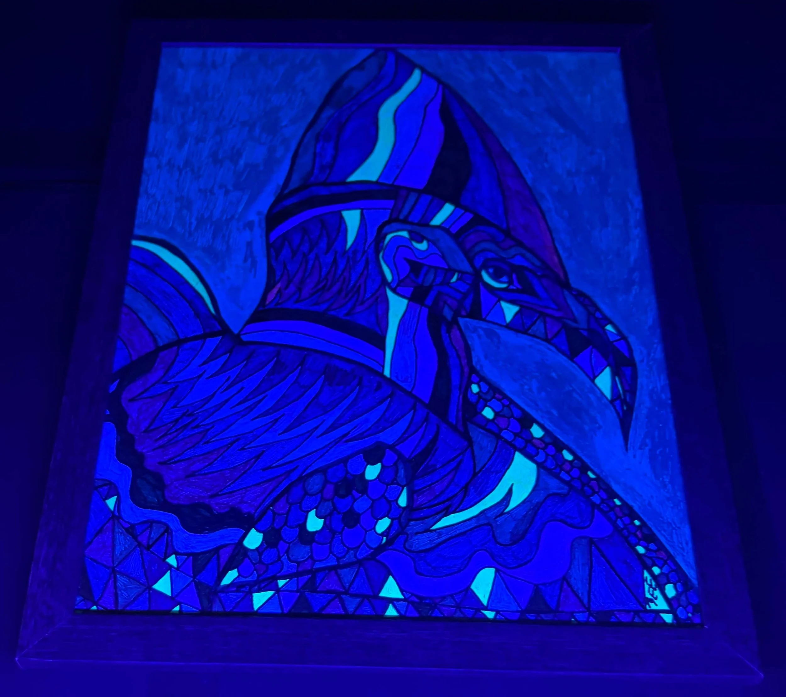 cool colored cassowary black livht .jpg