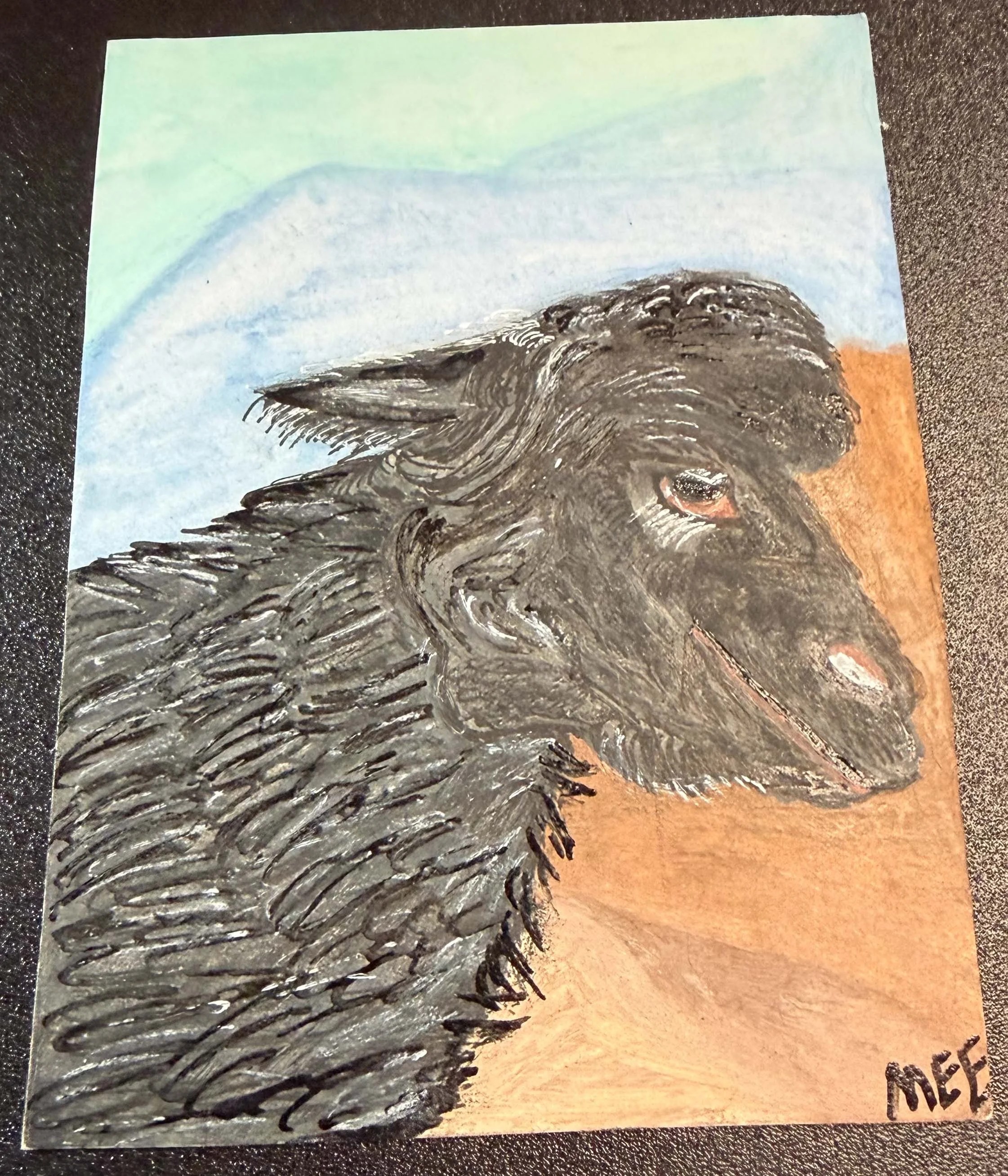 Black Sheep Magnet
