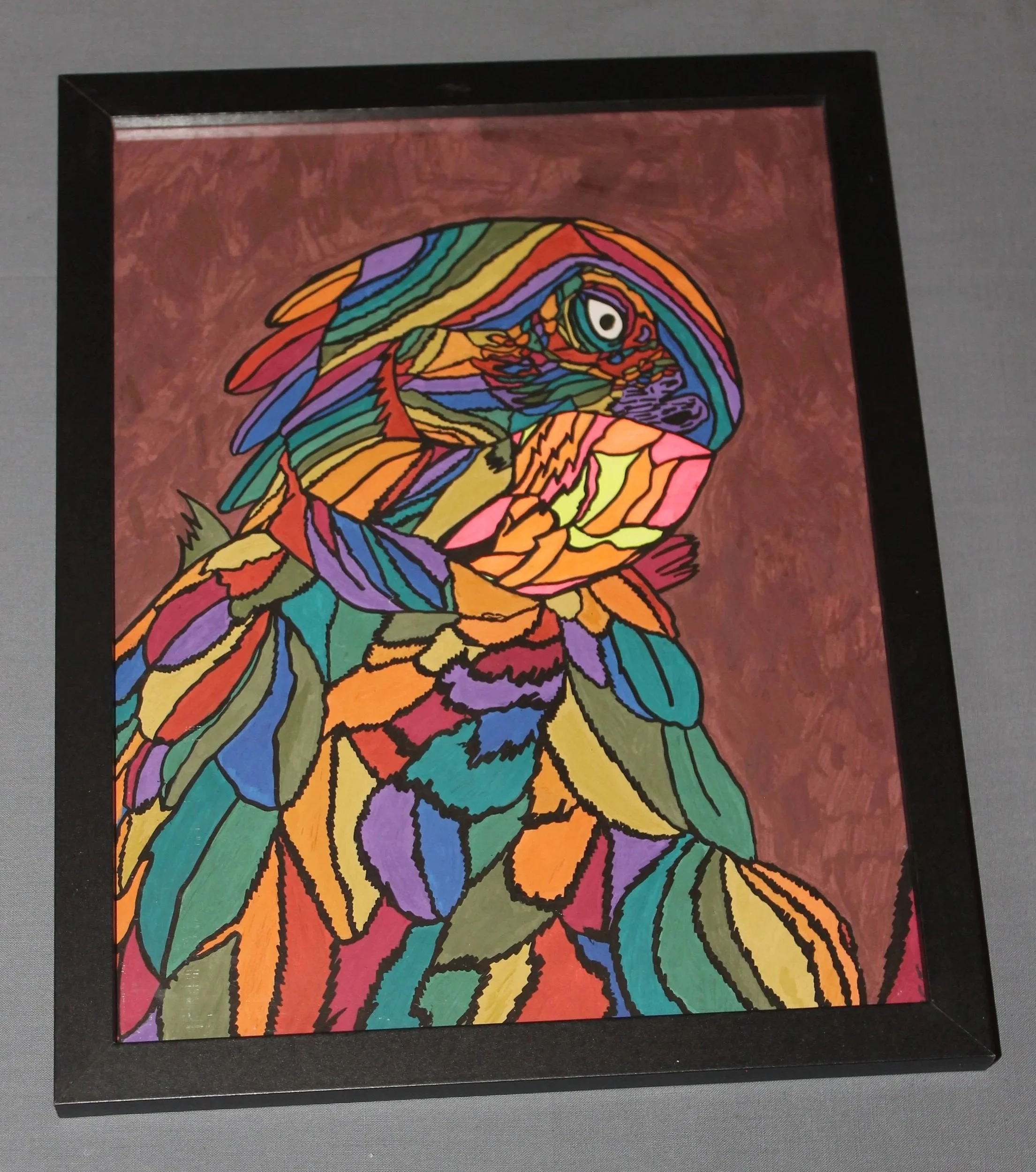 Brown Background Dark Rainbow Parrot