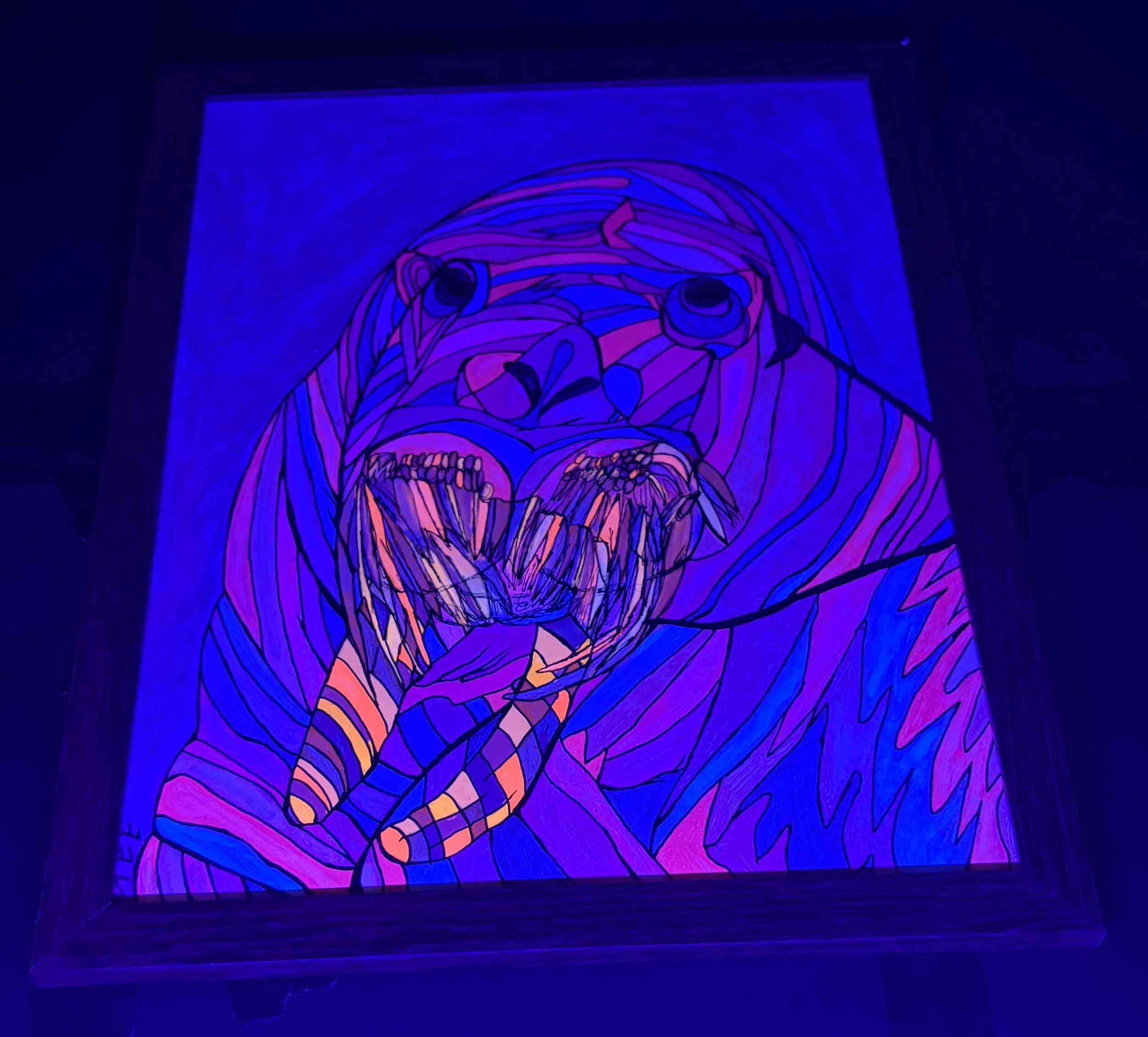pink walrus black light .jpg