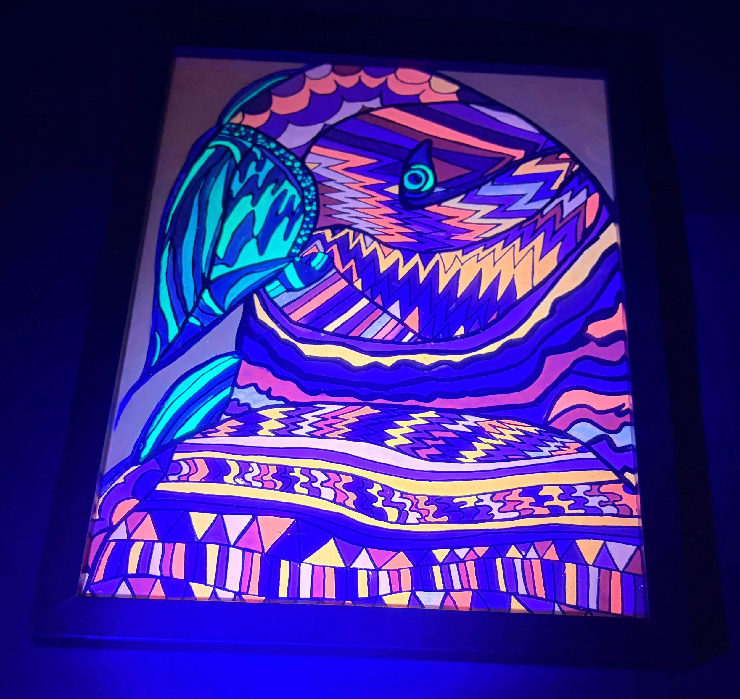 Orange and green parakeet black light.jpg