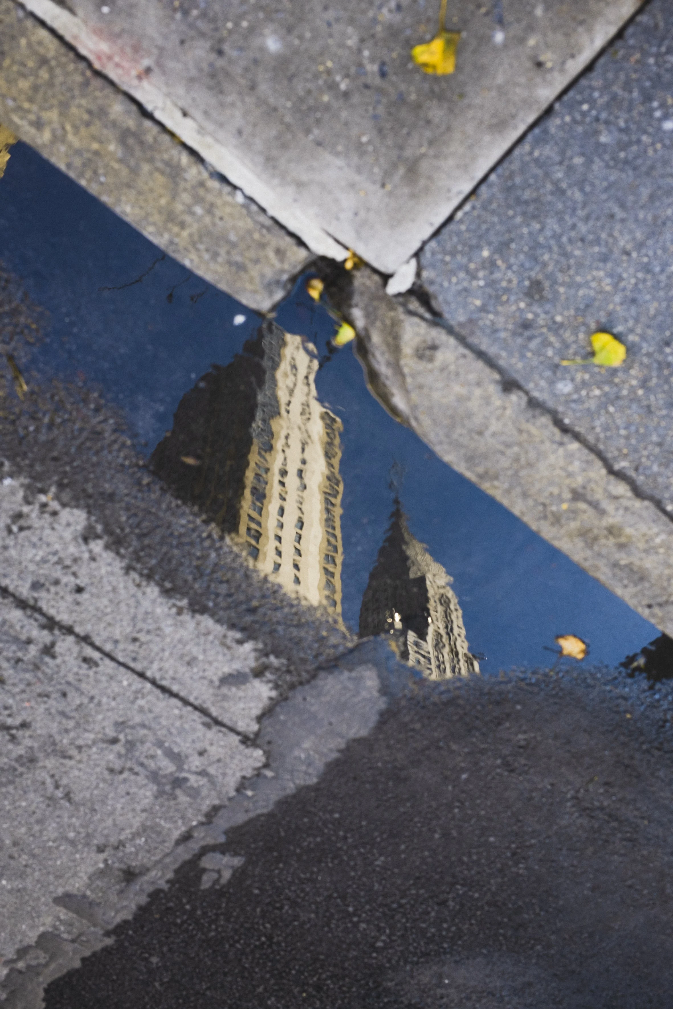 NewYork_nov_2025-15.jpg