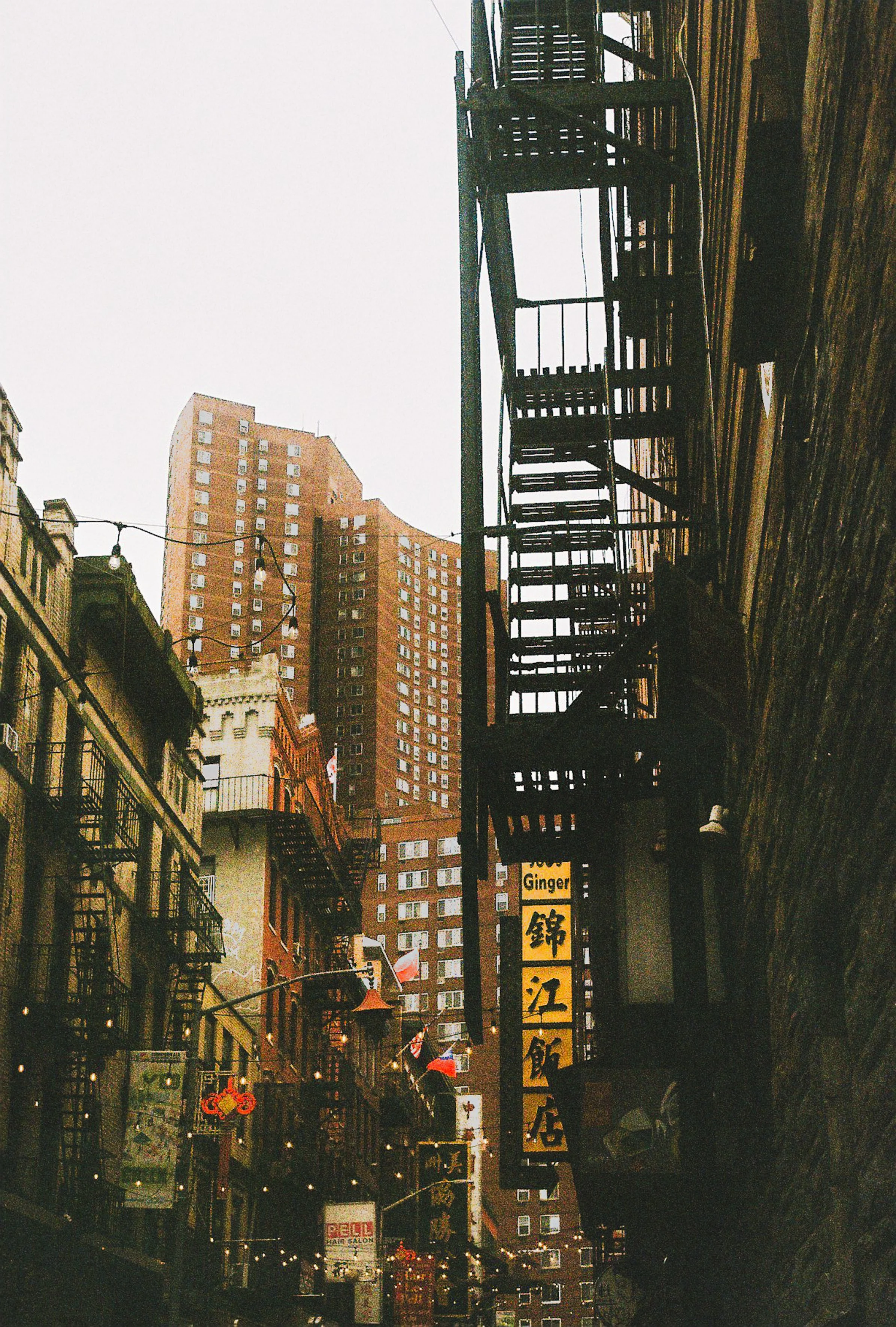 NewYork_nov_2025_pelloche_2_6.jpg