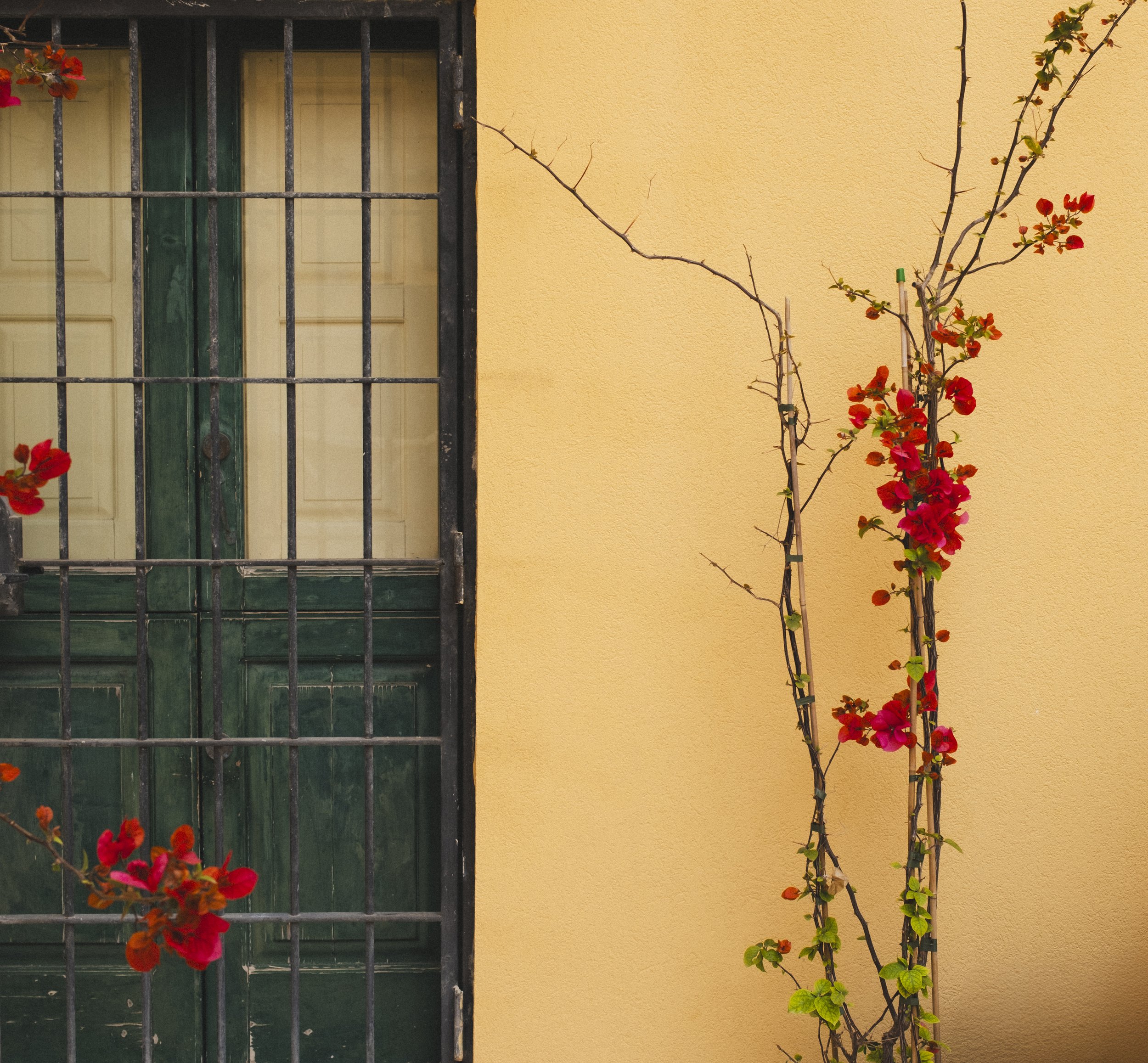 Série_florence_2025-33.jpg