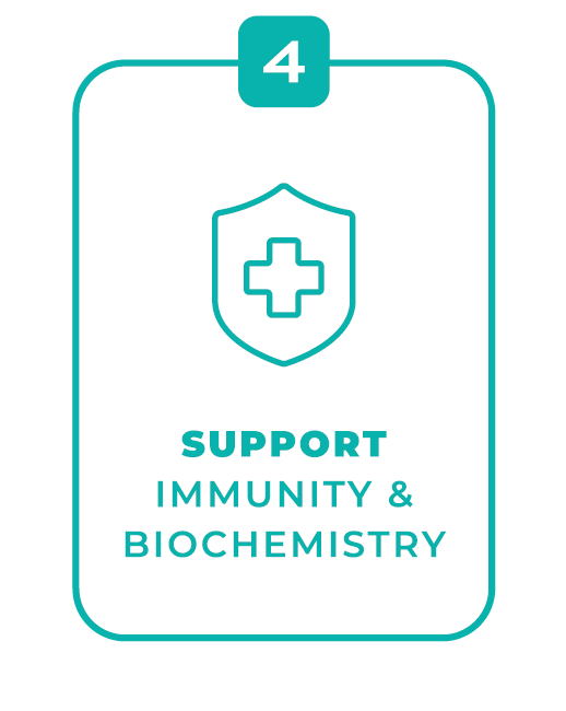 Step 4 card with a shield icon and the text 'support immunity and biochemistry'.