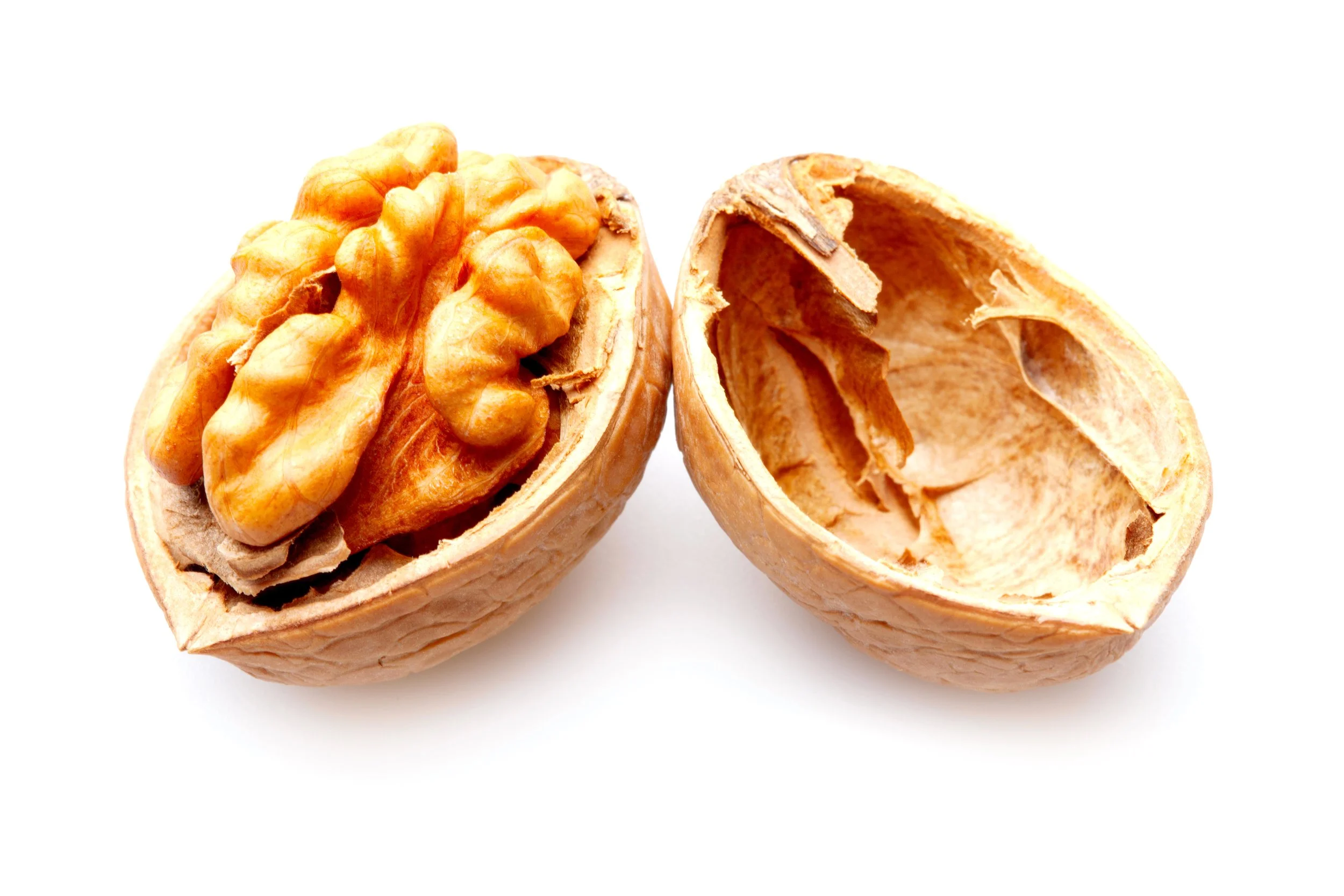 Walnuts – Superfood For Healthy Gut Bugs