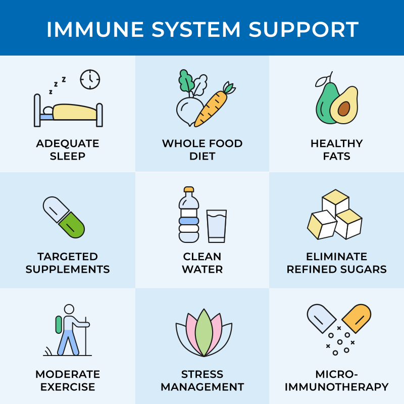 A chart titled 'Immune System Support' with nine sections featuring icons and tips: Adequate Sleep, Whole Food Diet, Healthy Fats, Targeted Supplements, Clean Water, Eliminate Refined Sugars, Moderate Exercise, Stress Management, and Micro-Immunotherapy.