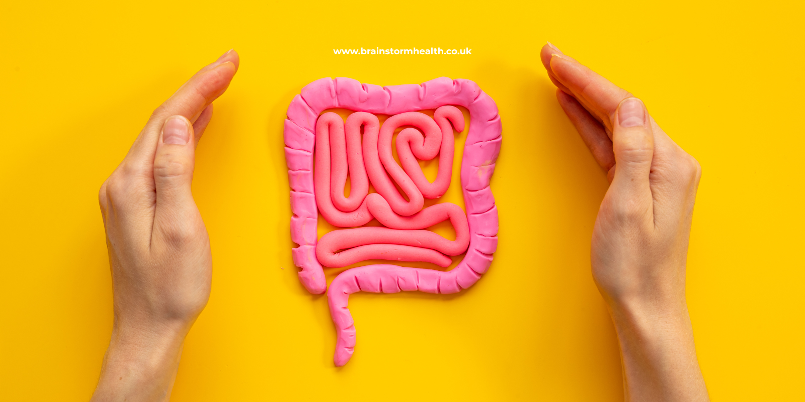 Rebuilding the Microbiome: Where to Start and What Actually Works