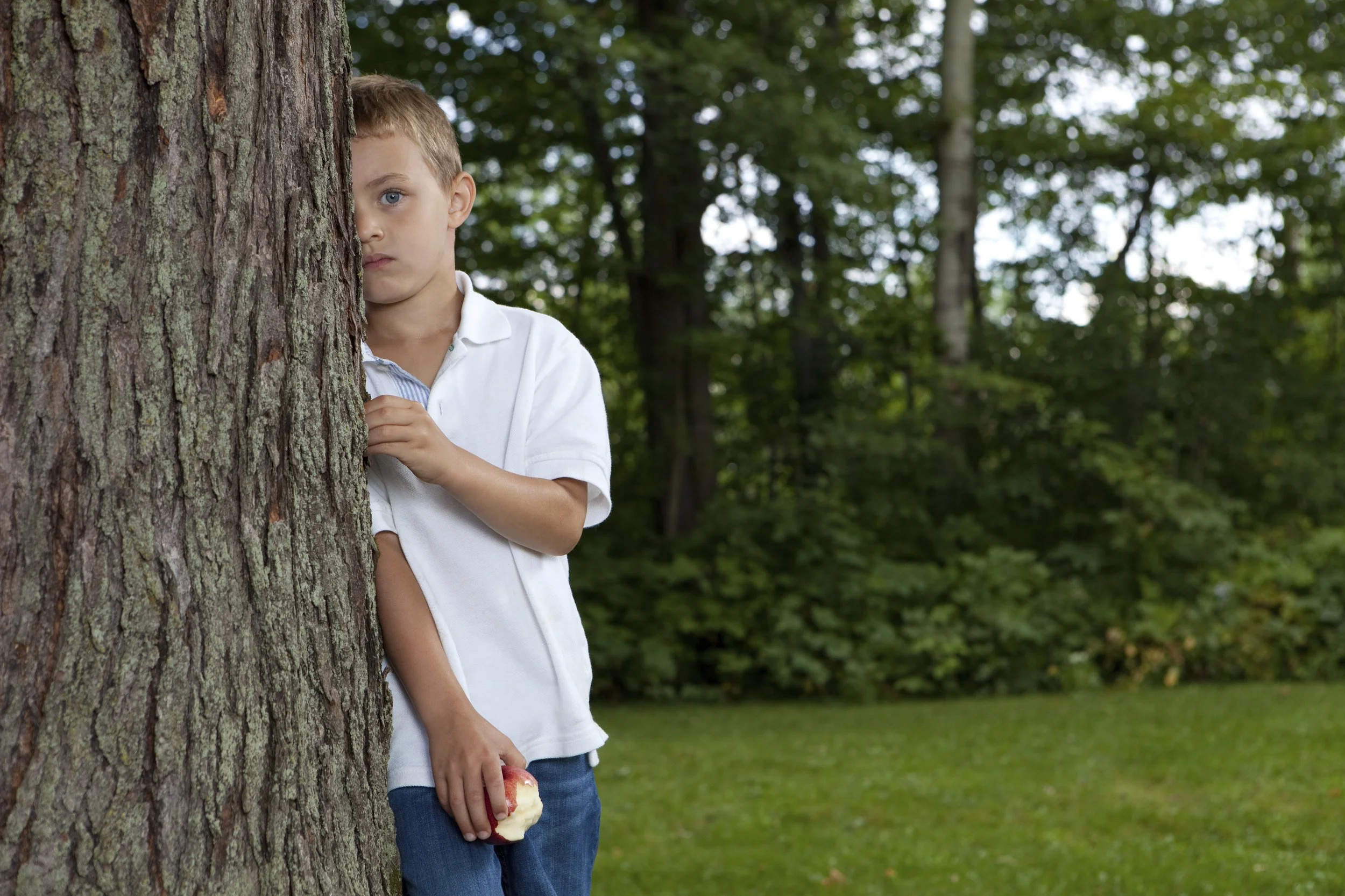 Vitamin D Status And ADHD