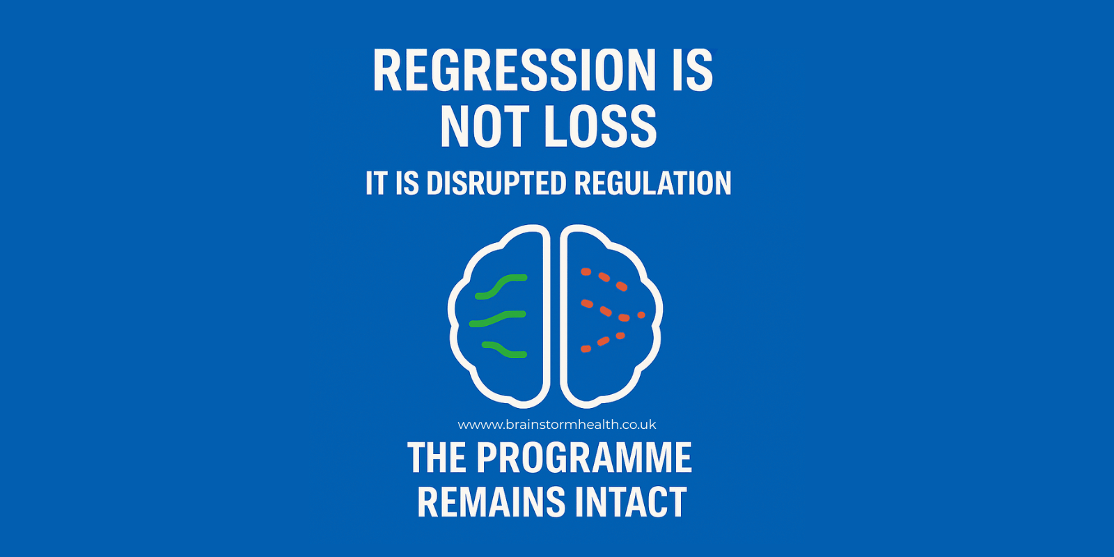 Why The Brain Can Repair