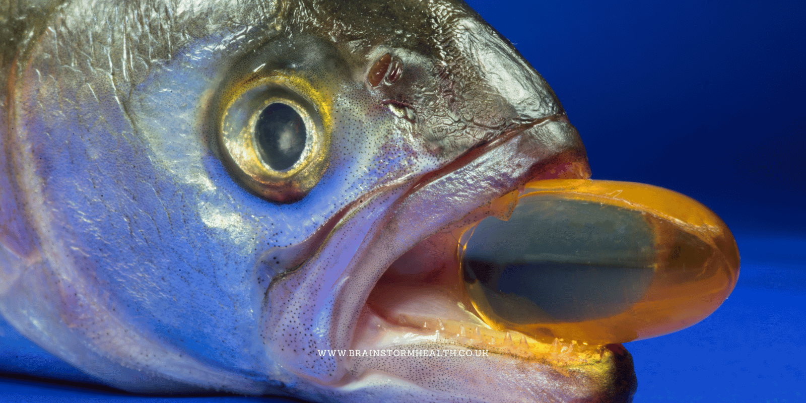 Do Fish Oils Make Your Child’s Symptoms Worse?
