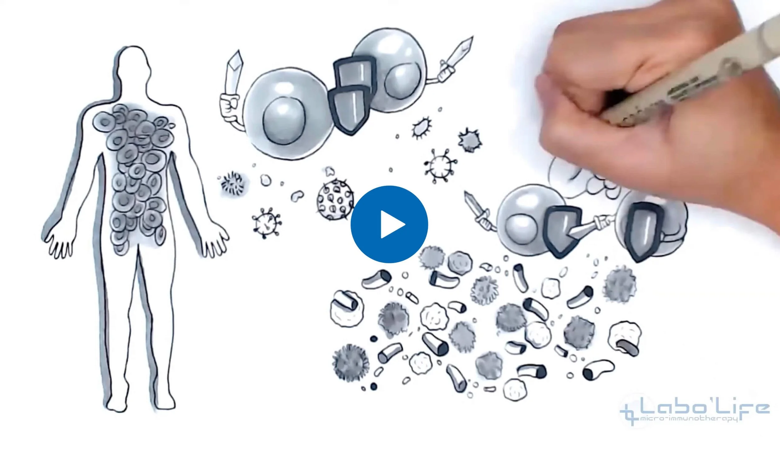Drawing of a human body with immune cells and viruses around it, focusing on immune response and microbiology.