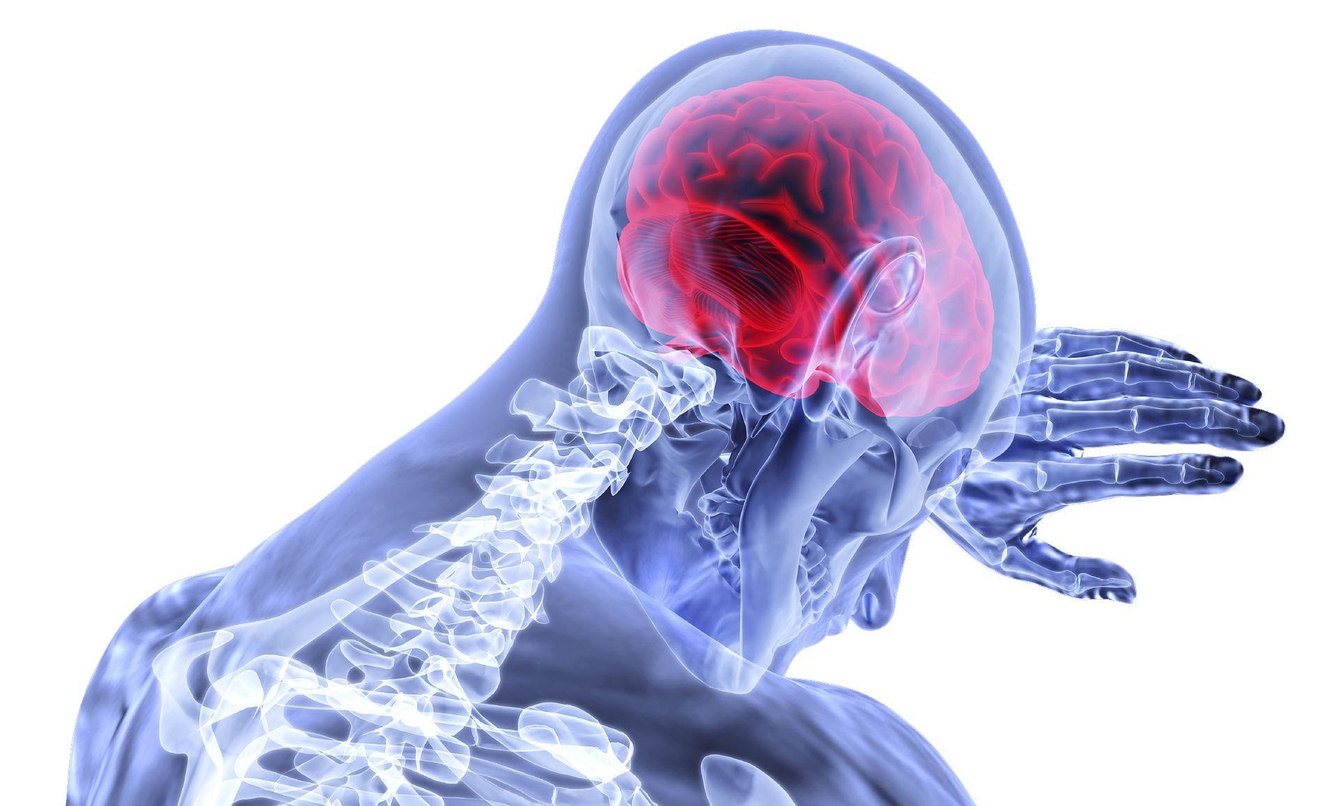 Dysbiotic Gut Can Promote Inflammation of The Central Nervous System