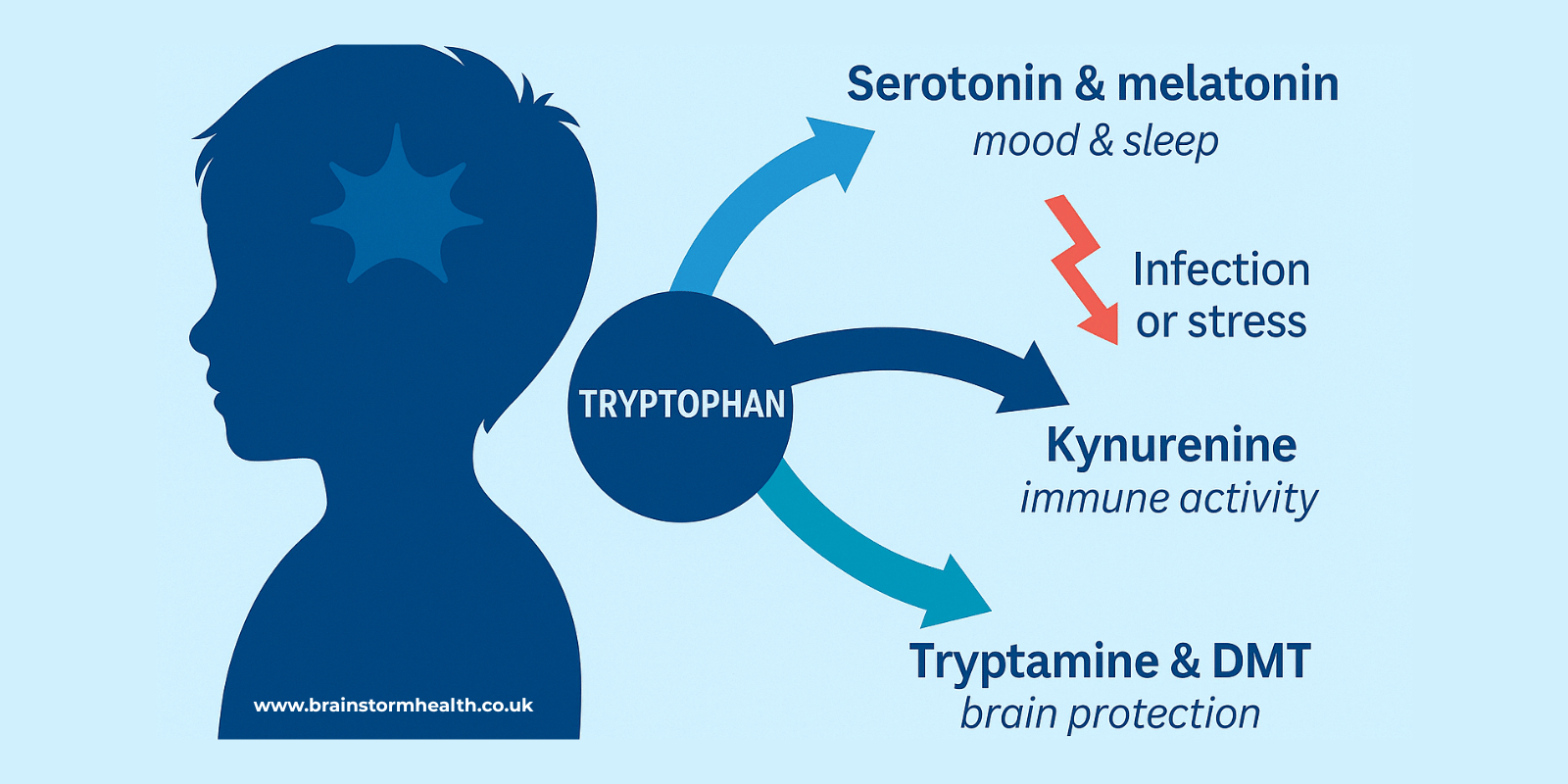When One Amino Acid Holds Your Child’s Brain Hostage