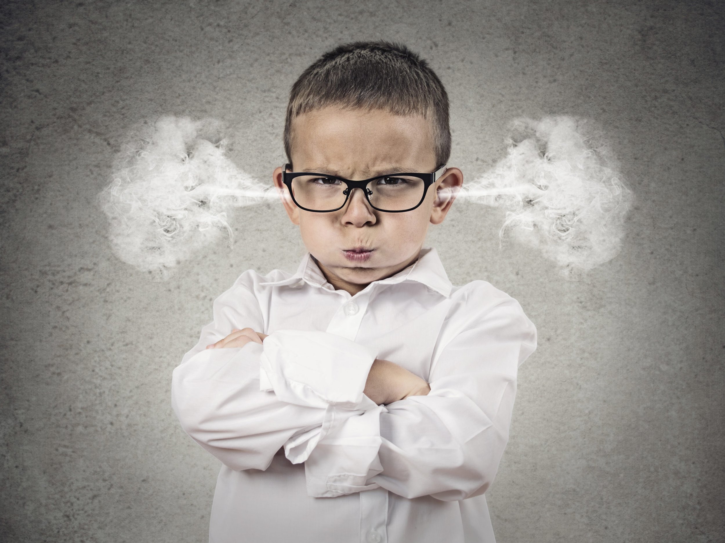 Aggression – Root Causes and Solutions
