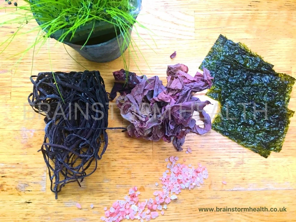 Your Evidence-Based Guide to Seaweed a Superfood for the Gut