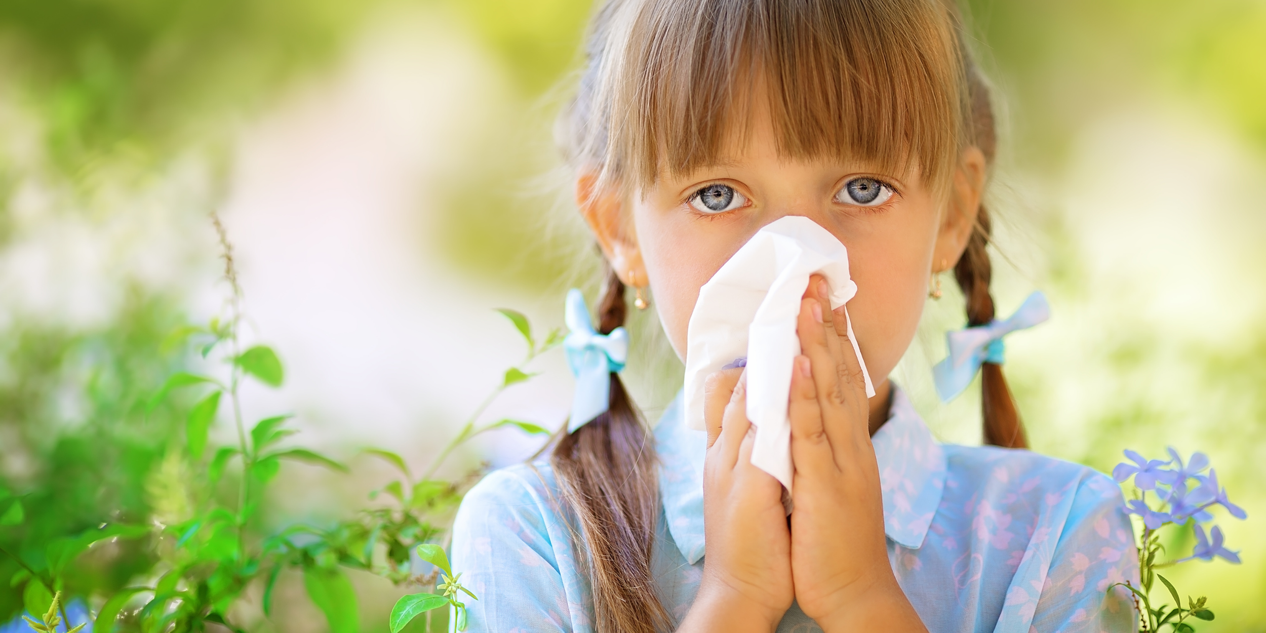 High Histamine — Low Health