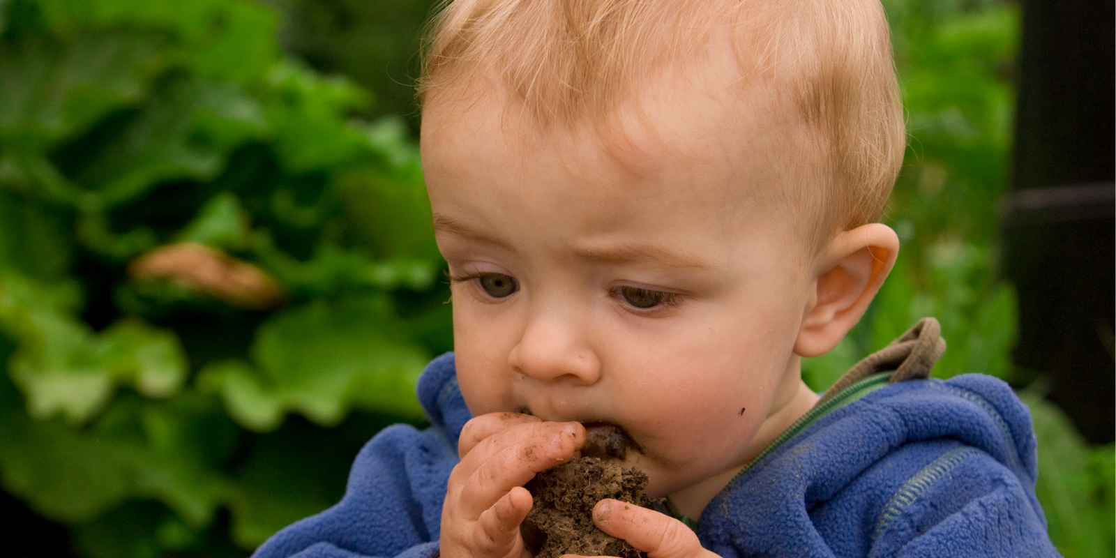 Pica: Does Your Child Eat Non-Food Items?