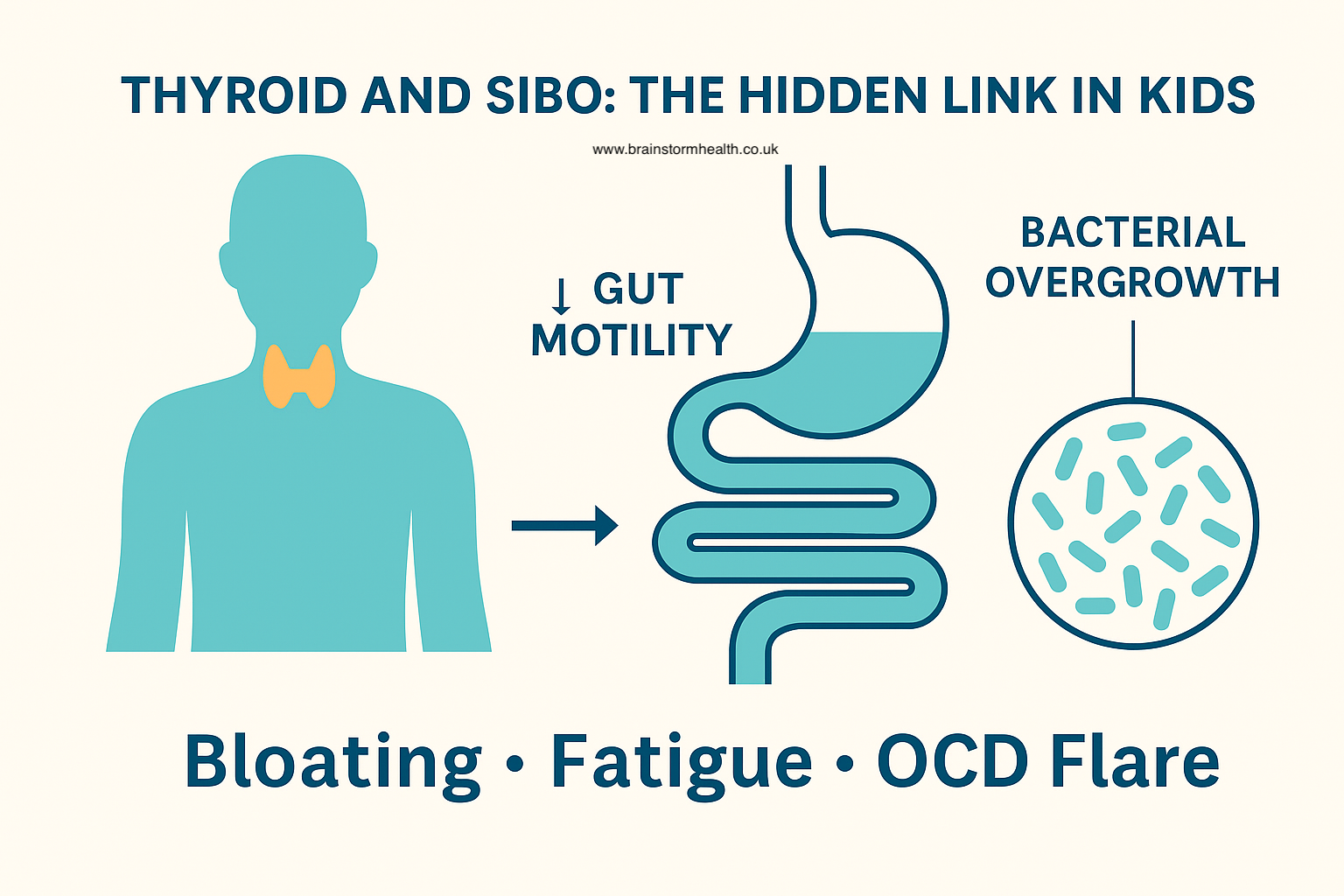Thyroid, SIBO, and Kids with PANS and Autism: The Link Nobody Talks About