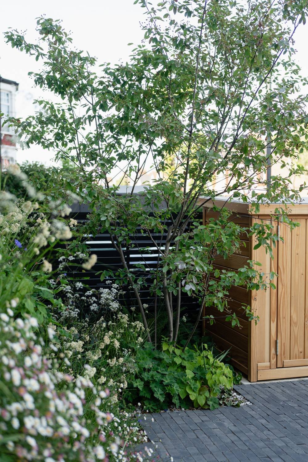 A lush garden with green leafy trees and flowering plants next to a wooden shed and a black fence, on a paved patio.