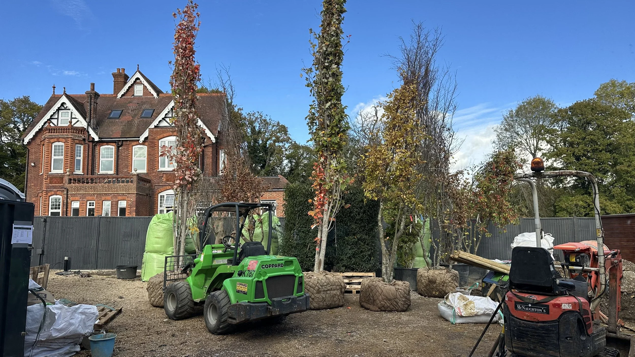 Large trees were essential to provide privacy