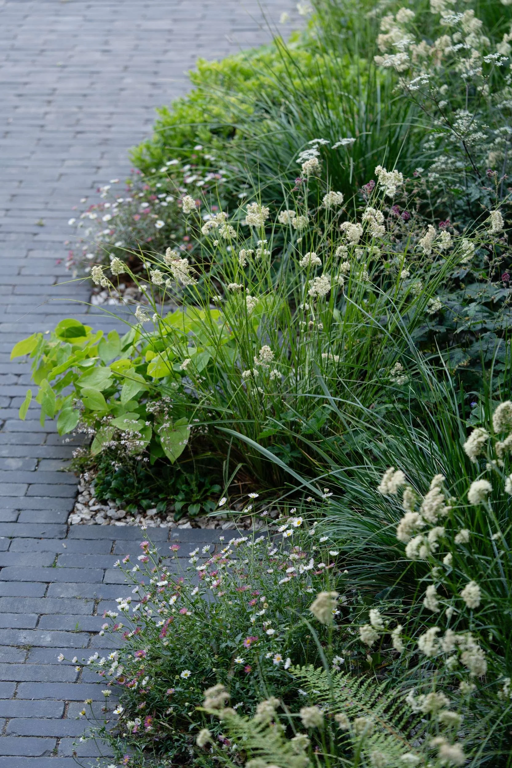 planting-border-clay-paver-path.jpg