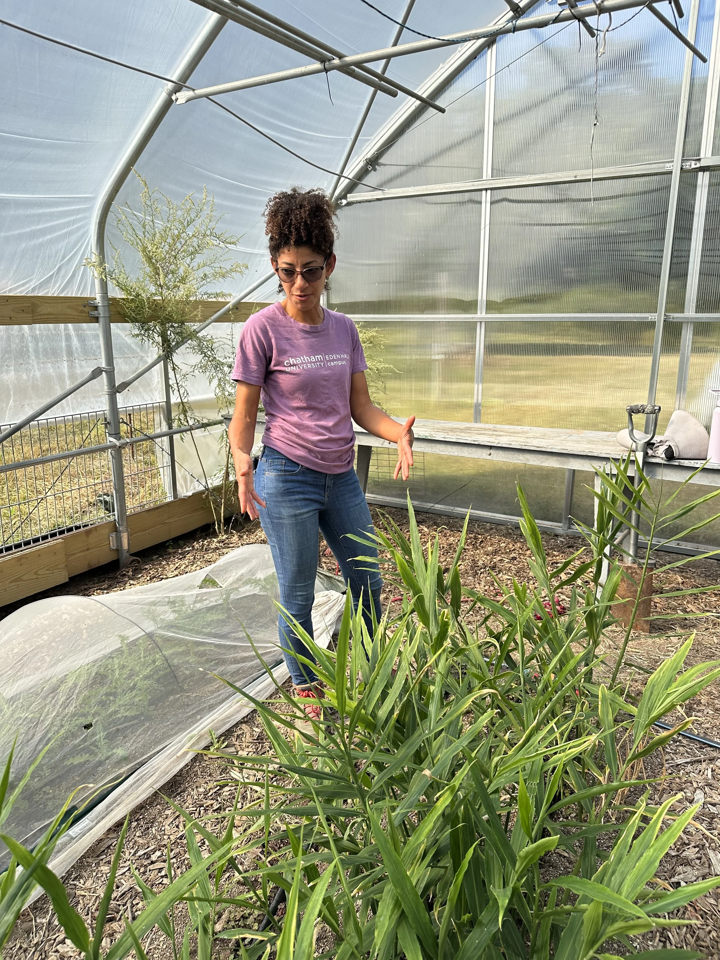 A woman with curly hair, sunglasses, a purple T-shirt, and jeans standing in a greenhouse among green plants.