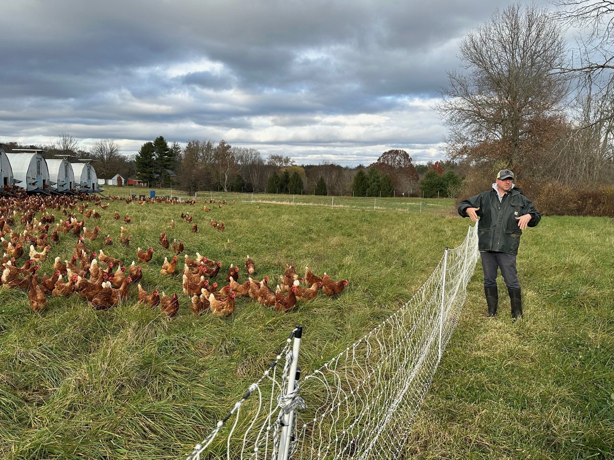 Food with Dignity: Organic Farming for Community Impact