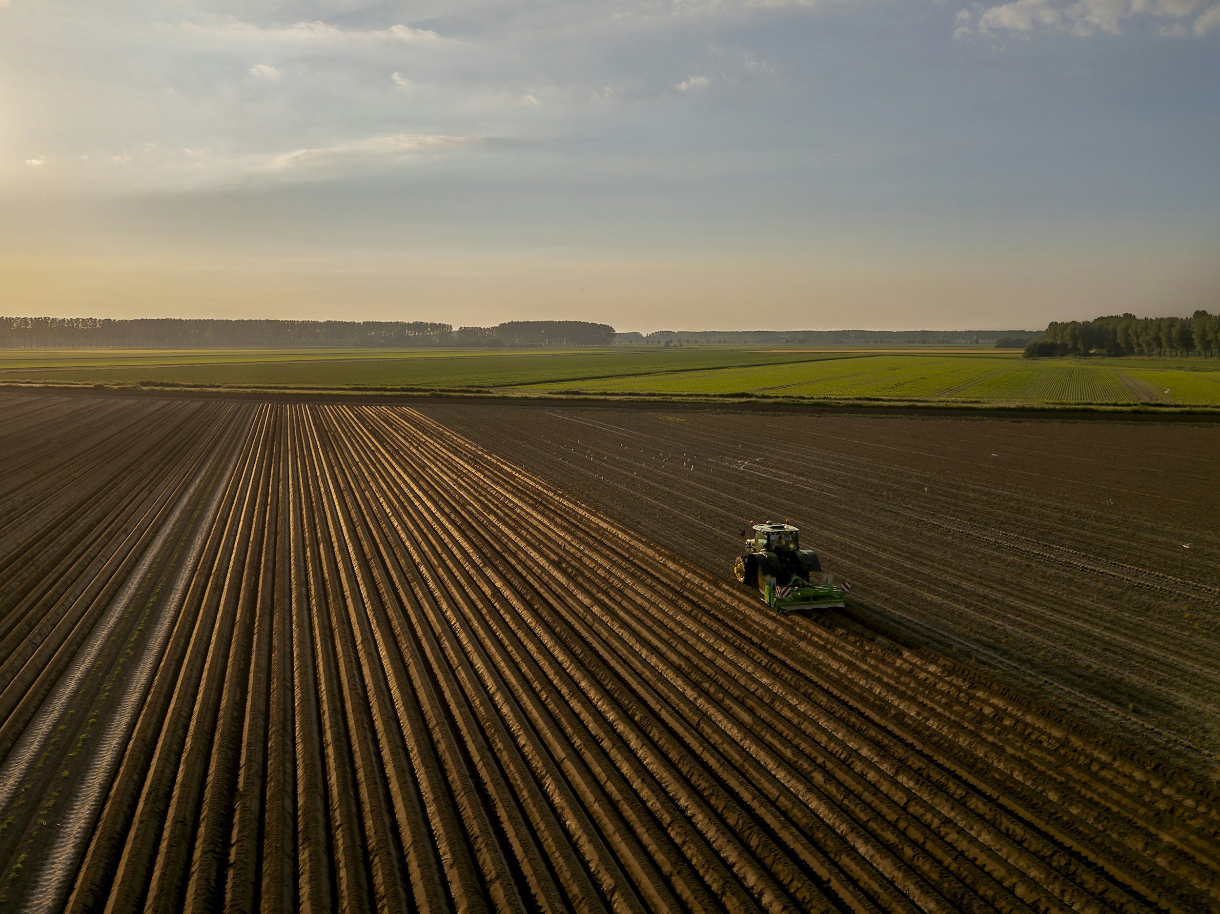 Agricultural landscape with large fields, some with rows of crops and others freshly plowed, under a partly cloudy sky with soft sunlight.