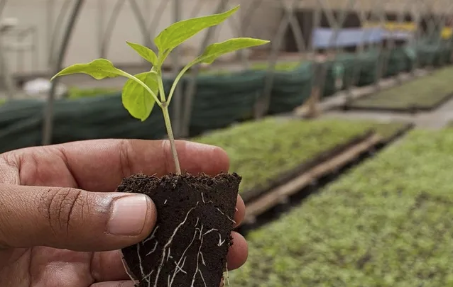 Mid-Atlantic Organic and Sustainable Agricultural Exchange