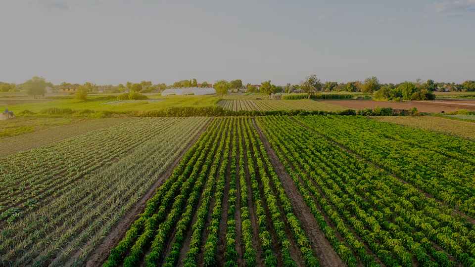 Integrating Organic and Food Safety Requirements When Using Soil Amendments | O.A.T.S.