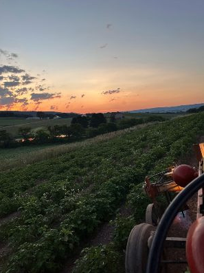 Farmland during sunset with a tractor in the foreground and rolling hills in the background.