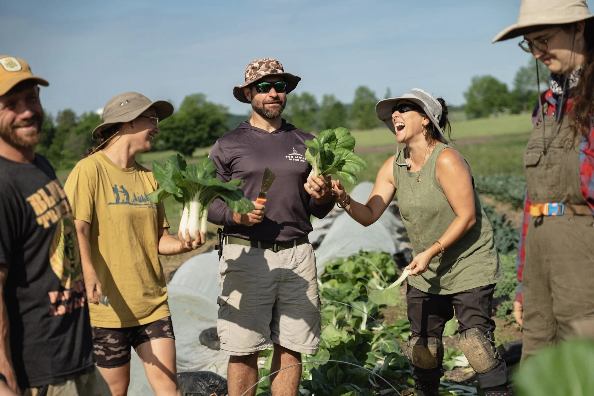 Group of people working together in a garden, holding leafy vegetables, and smiling on a sunny day.