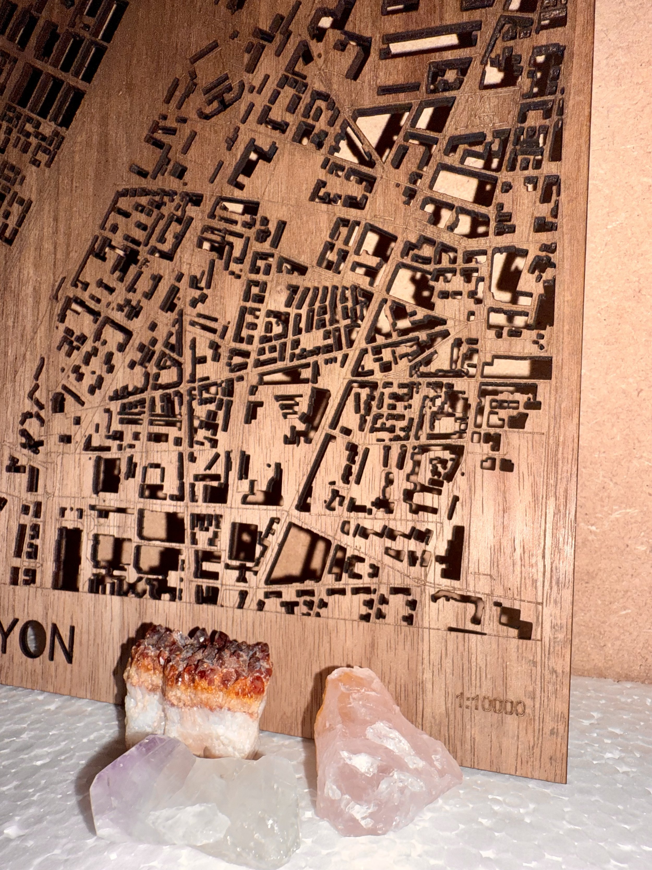 Carte Lyon détail.jpg