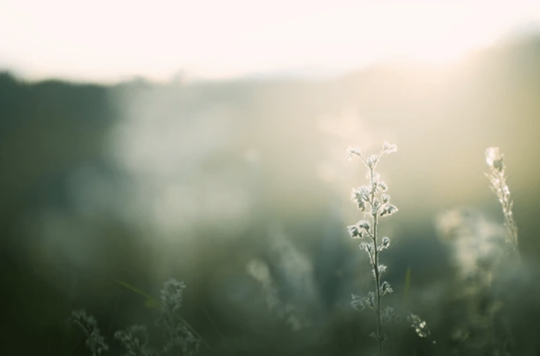 How Grief Affects Relationships: Understanding Emotional Shifts