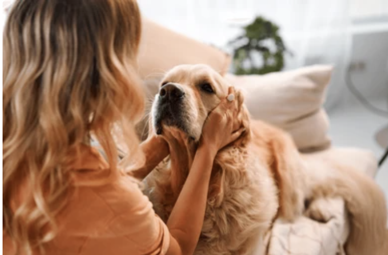 What Is Co-Regulation (and Why We Need Other People to Heal)