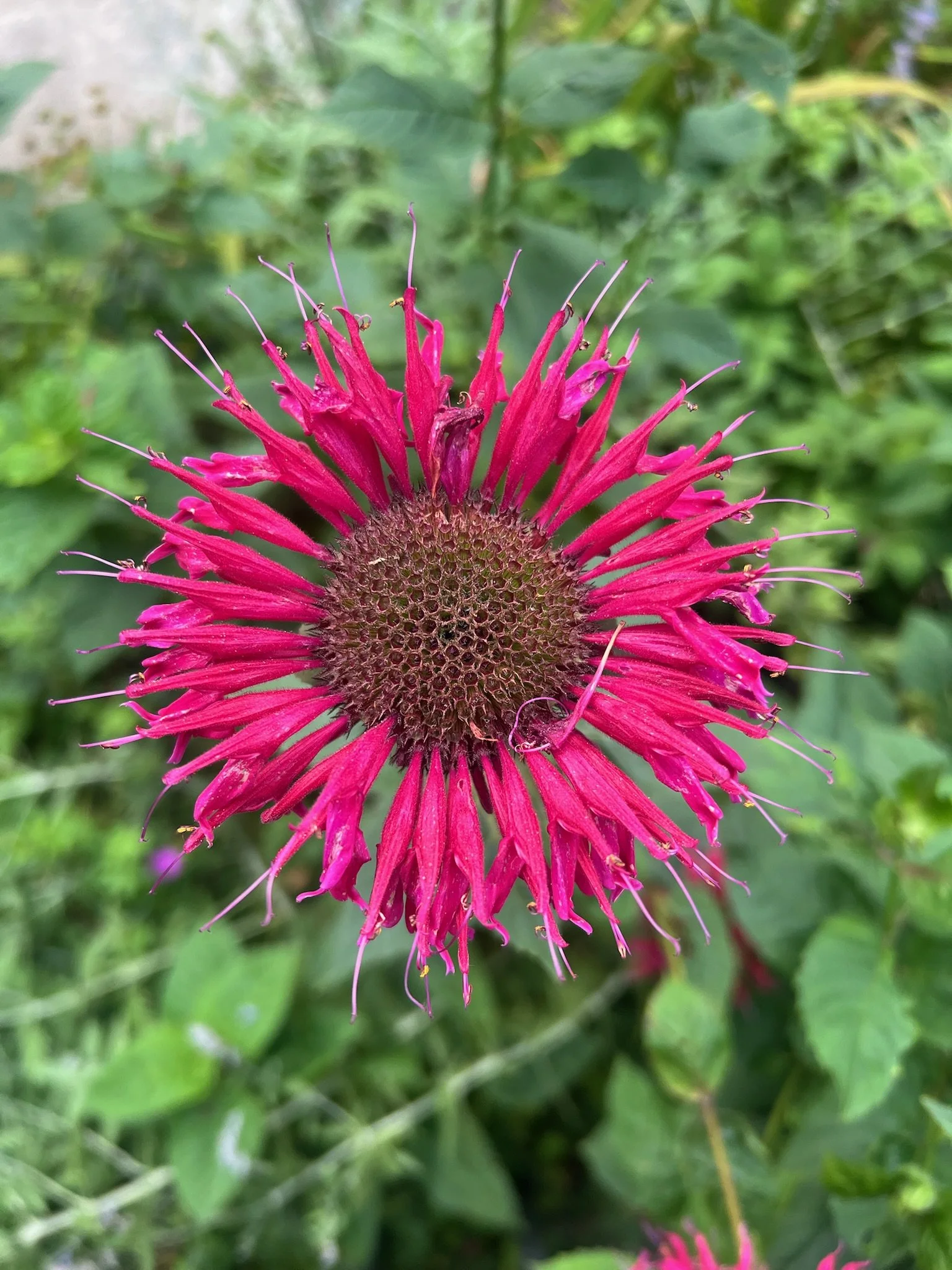 How Grief Affects Relationships: Understanding Emotional Shifts