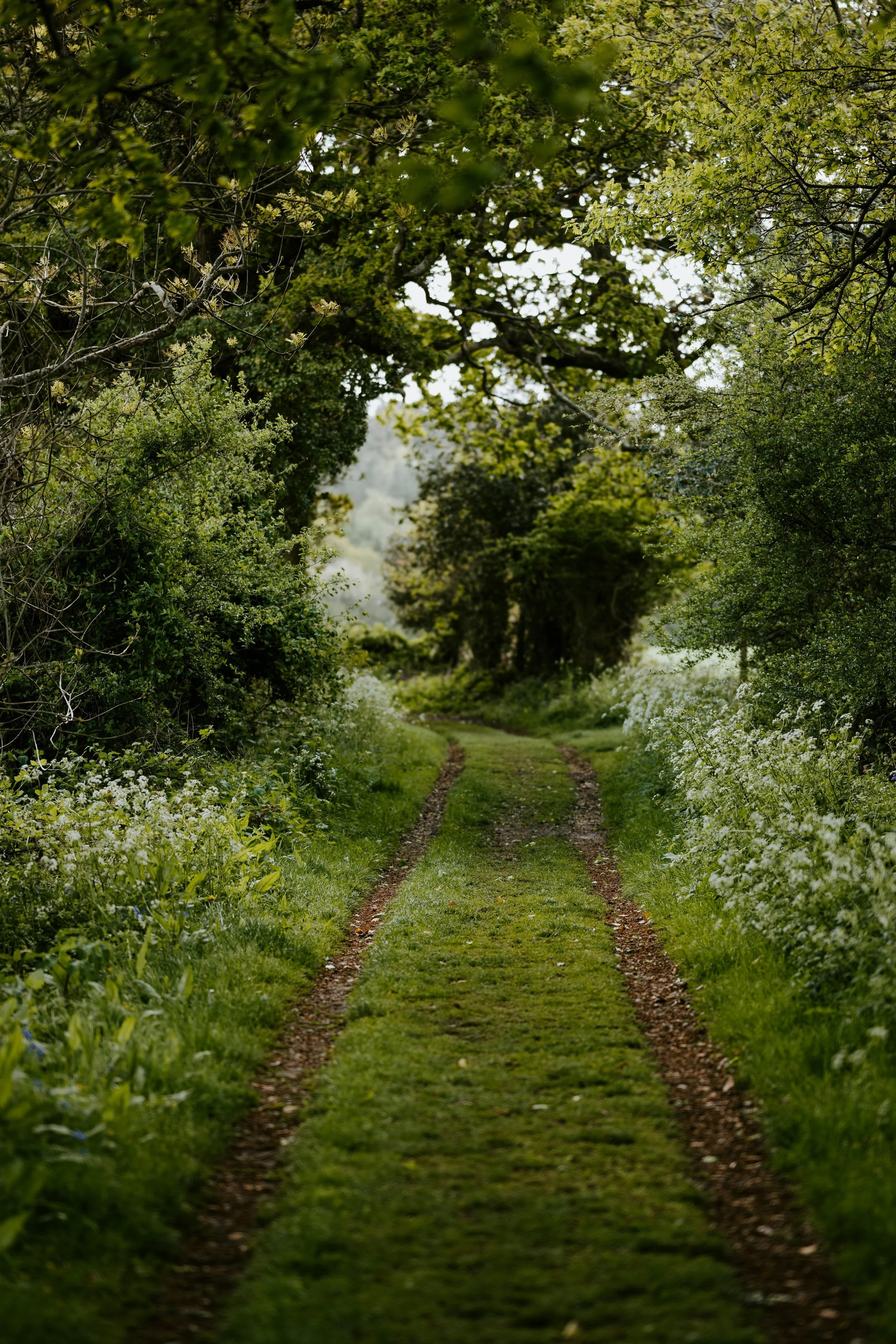 Grief, “Am I Doing It Right?” Understanding the Complex Emotions of Loss