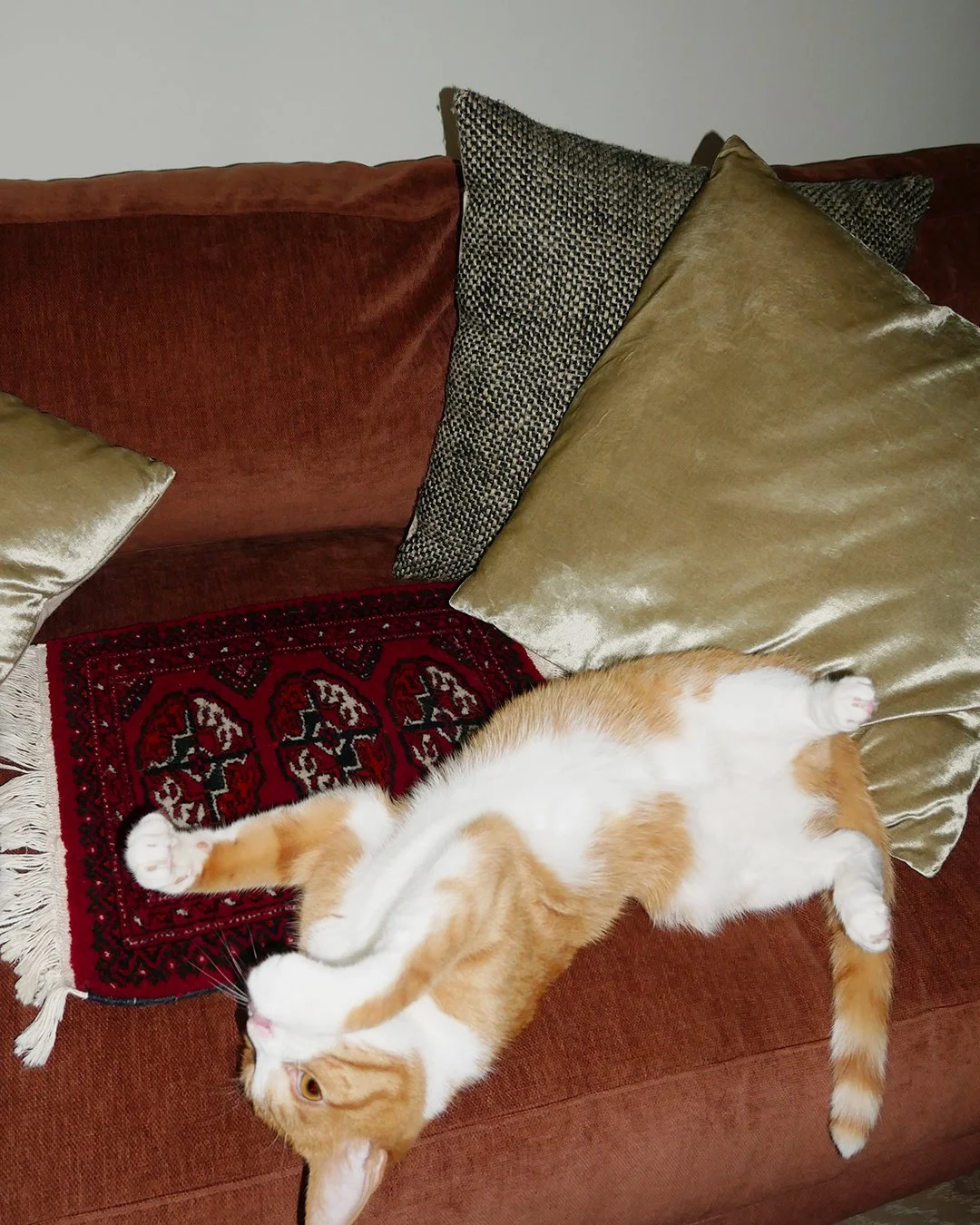 Collection Size_Jones_5_4x5.jpg