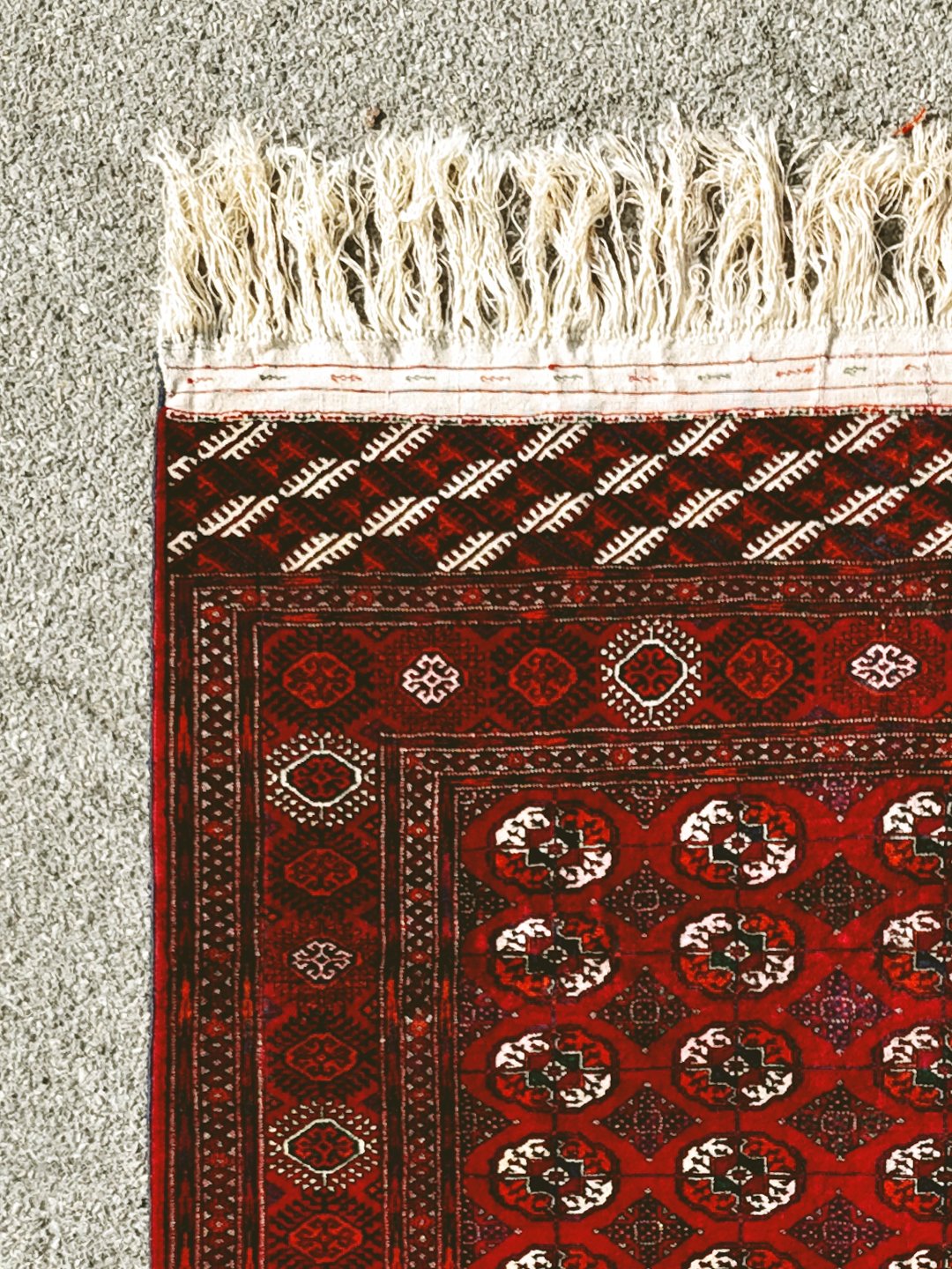 The Naranja heel. Orange vegan leather shoe with tortoise shell heel.