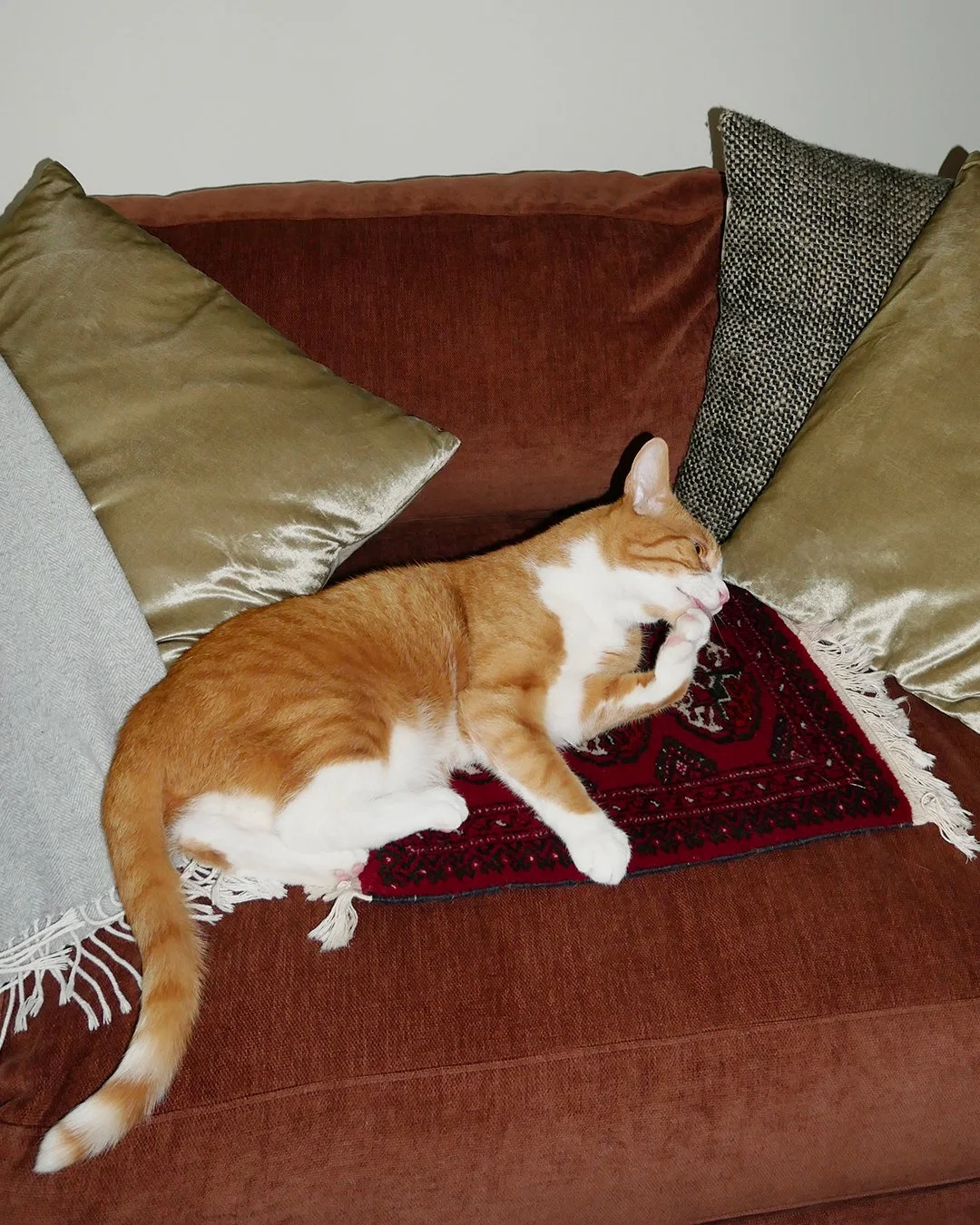 Collection Size_Jones_3_4x5.jpg