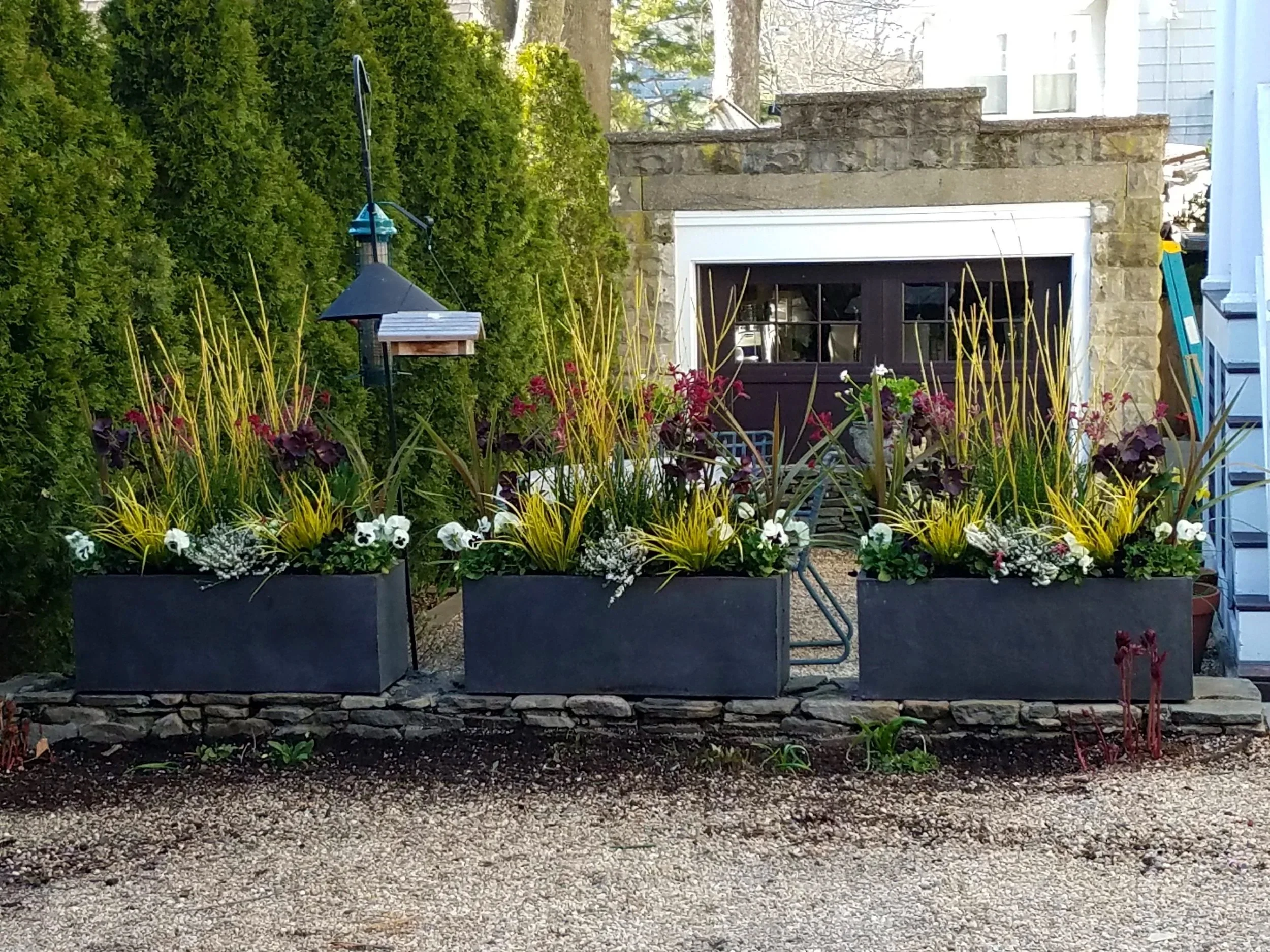 Modern, bold, stunning, and simple. It adds drama to any landscape or front driveway area.