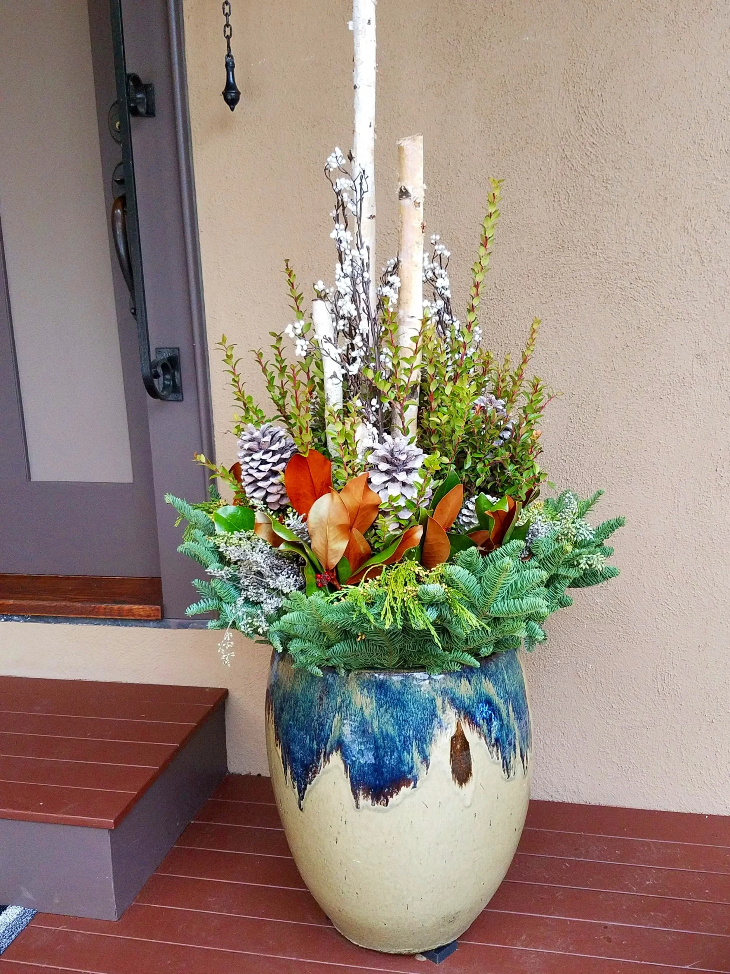 Birch logs, freshly cut evergreens with frosted pine cones