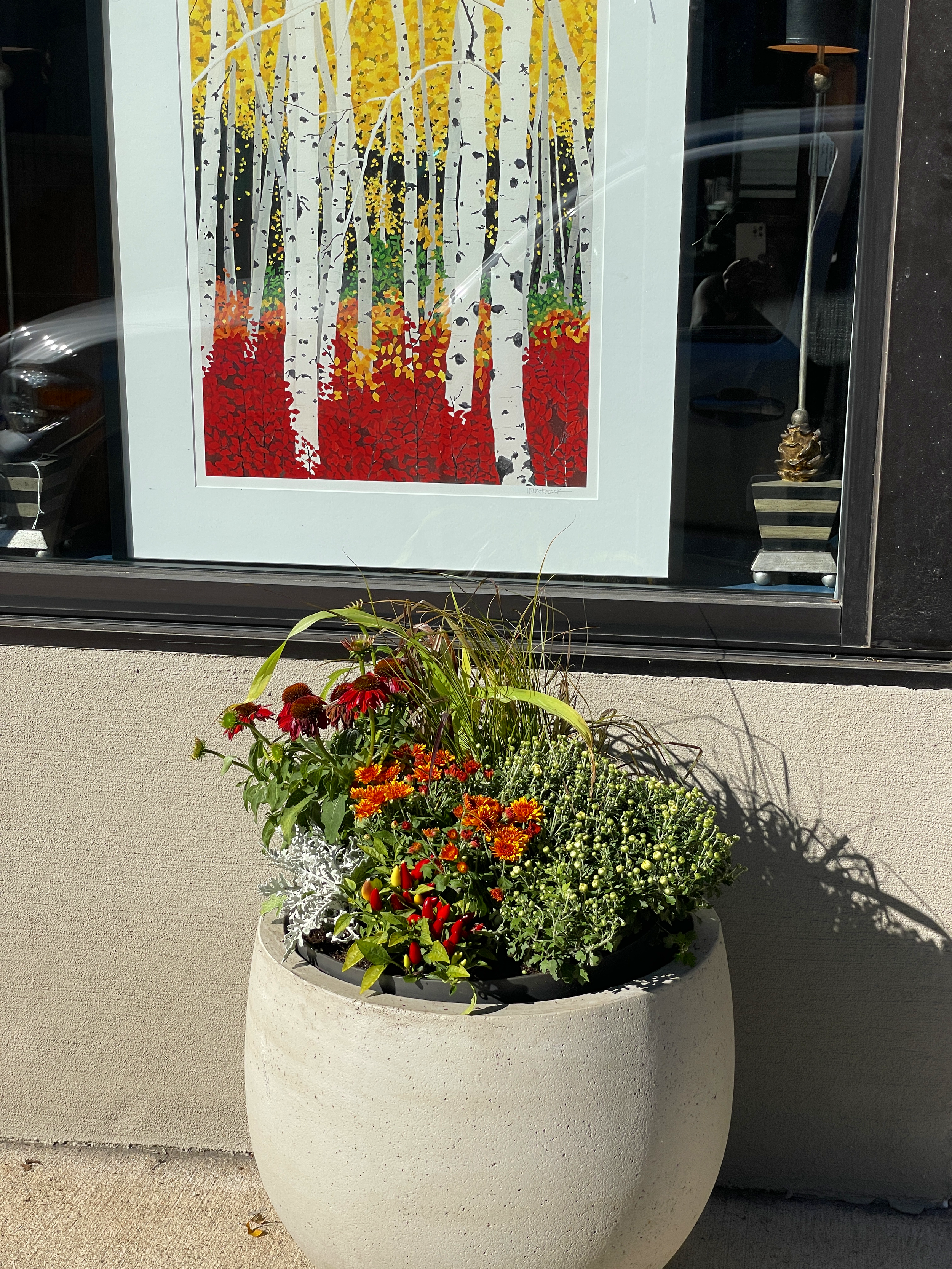 A window display featuring a framed print of a colorful forest scene with white birch trees and vibrant red, yellow, and green foliage. Below the window is a large round planter filled with various red and orange flowers and green plants, casting shadows on the wall.