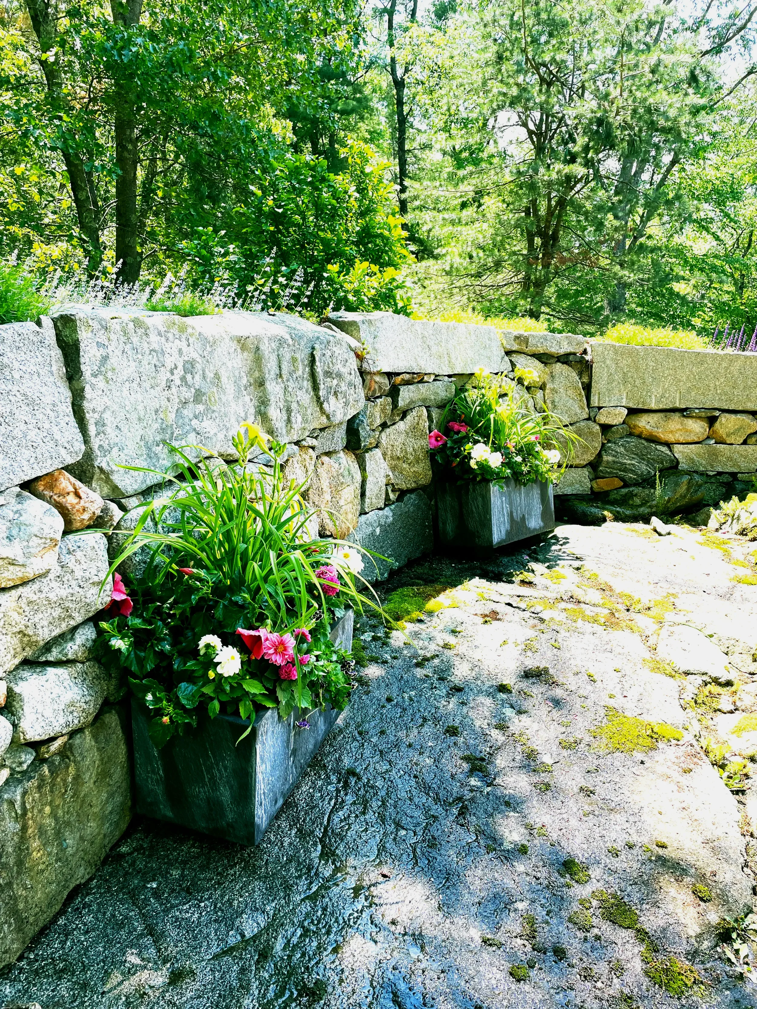 Stone wall flanked by flower pots with colorful flowers and greenery, with a forest in the background.