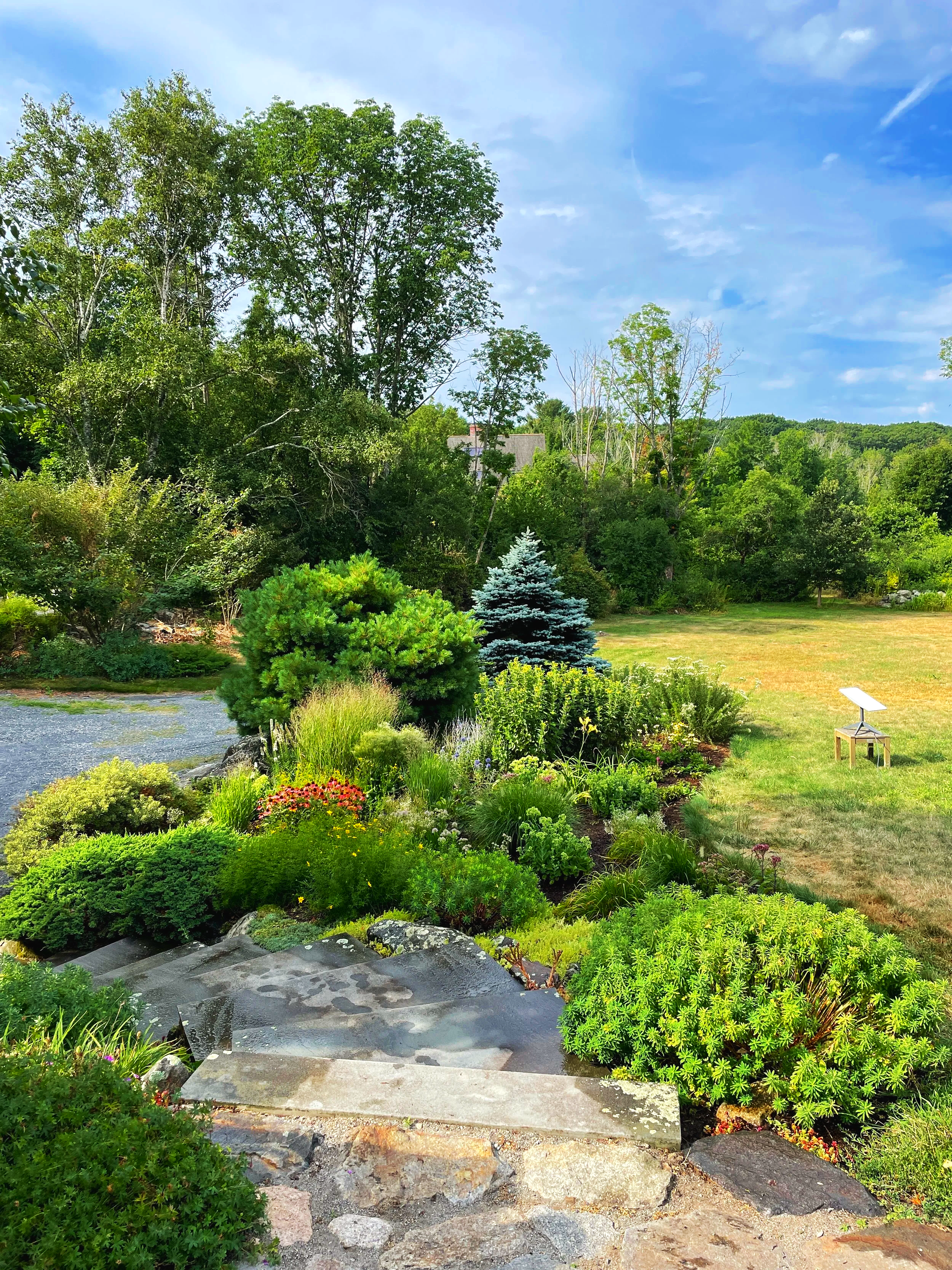 We enhanced an existing sunny bed by adding a variety of native and pollinator-friendly perennials that provide blooms throughout all four seasons.