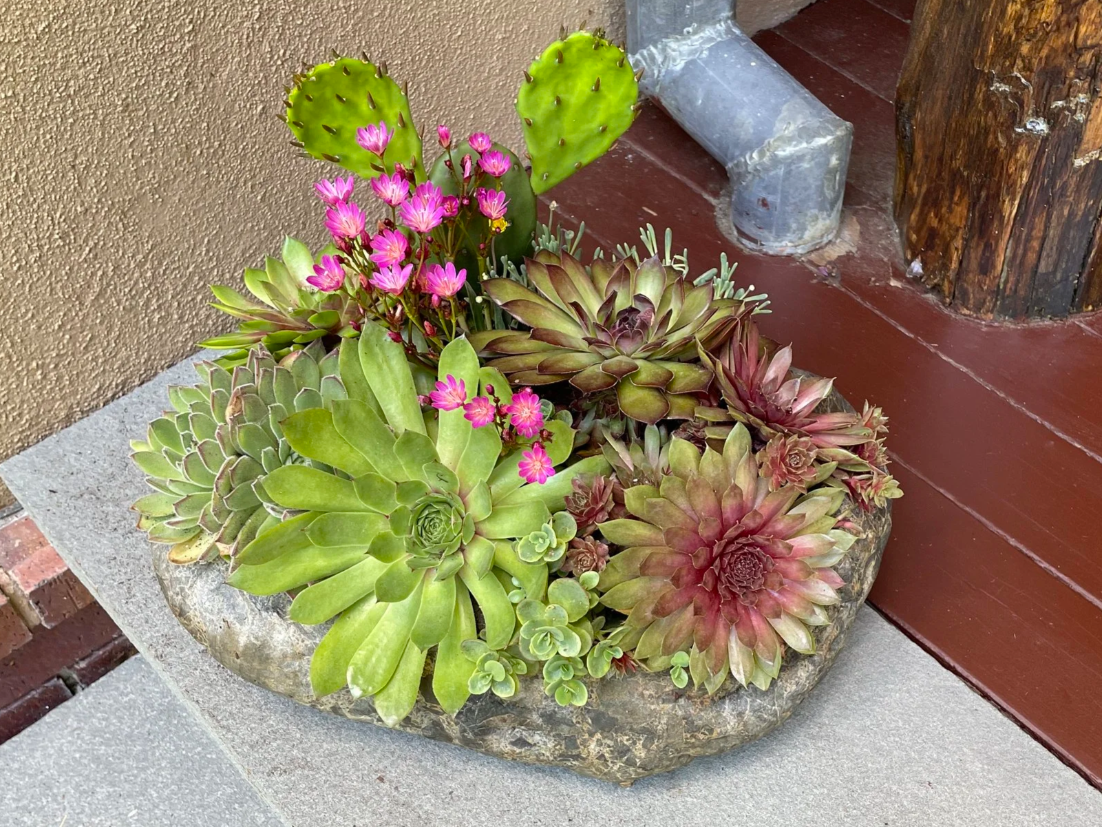 Decorative planter with assorted succulents and cactus, placed on concrete surface near a wall and a wooden post.