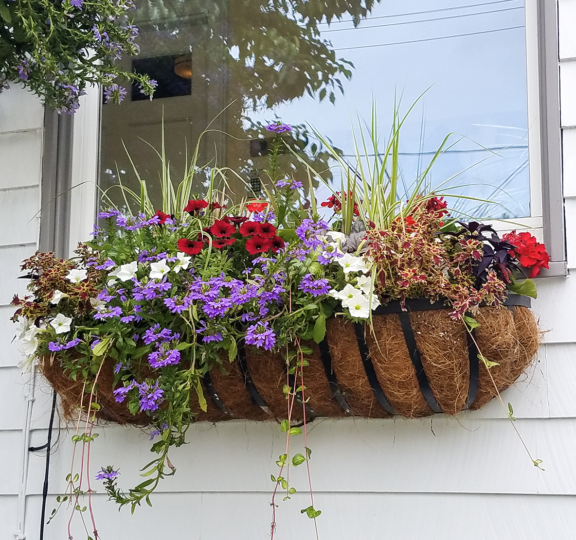 Coconut inserts add a natural, earthy touch to the appeal of any high-set window.